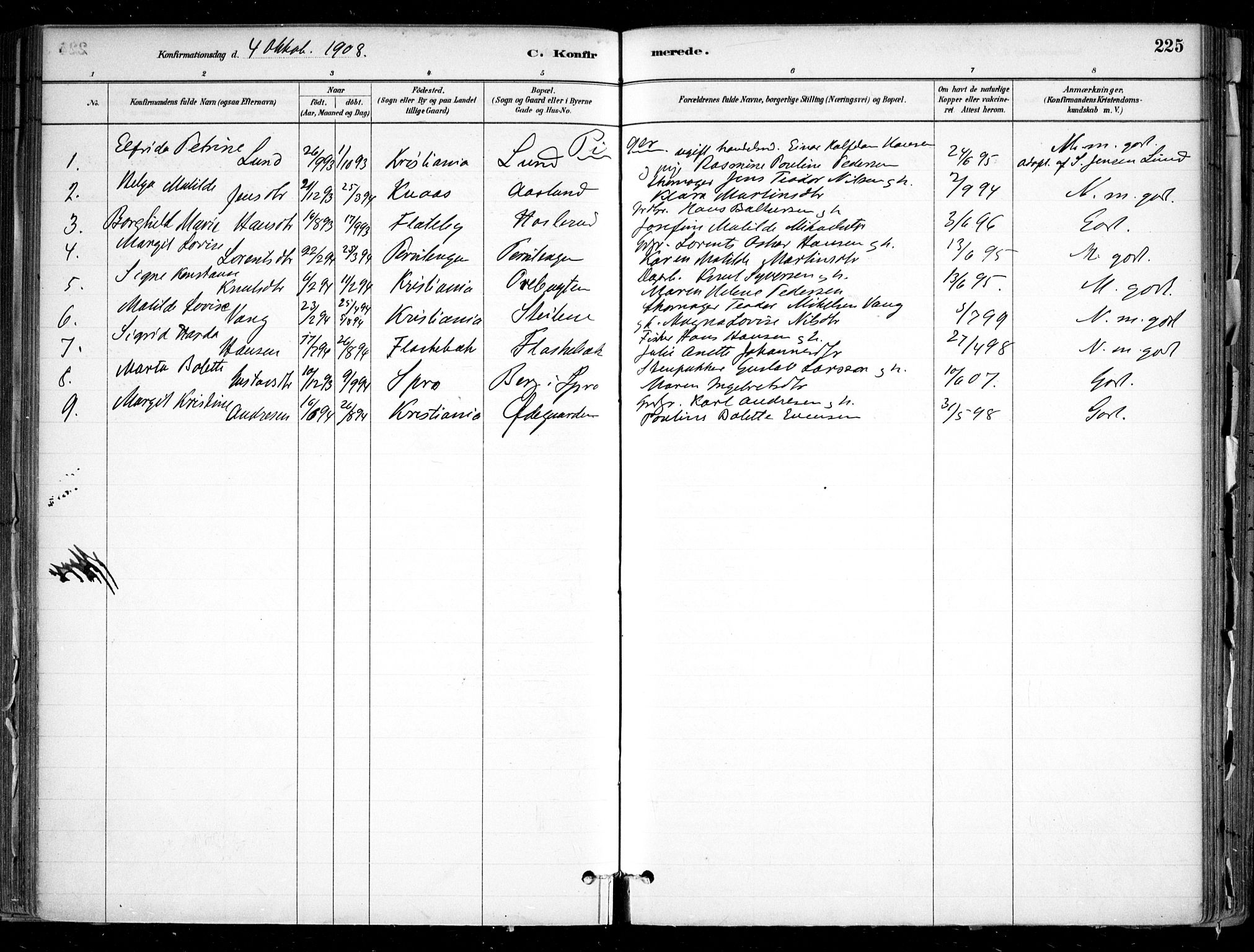 Nesodden prestekontor Kirkebøker, AV/SAO-A-10013/F/Fa/L0009: Ministerialbok nr. I 9, 1880-1915, s. 225