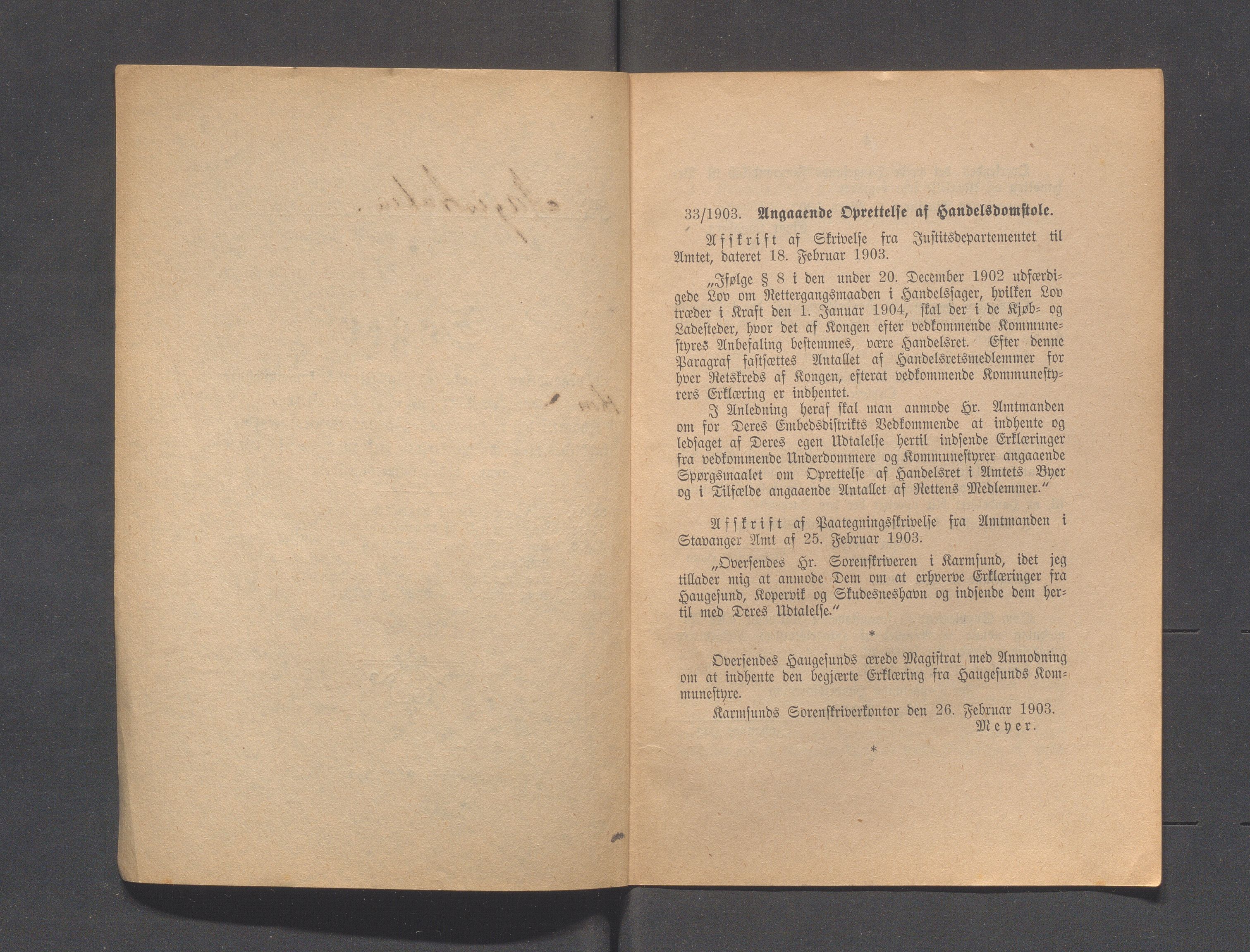 Haugesund kommune - Formannskapet og Bystyret, IKAR/A-740/A/Abb/L0001: Bystyreforhandlinger, 1889-1907, s. 402