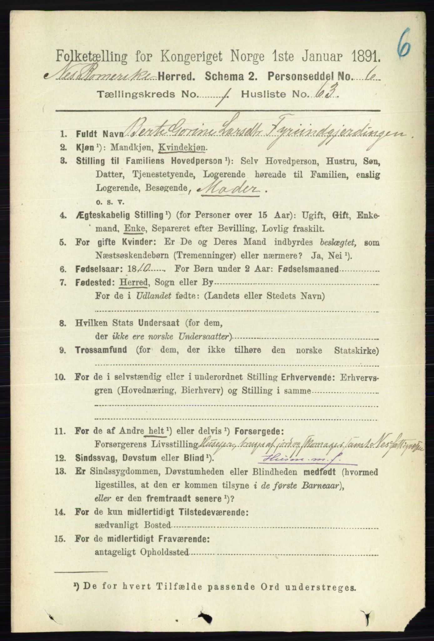 RA, Folketelling 1891 for 0236 Nes herred, 1891, s. 572