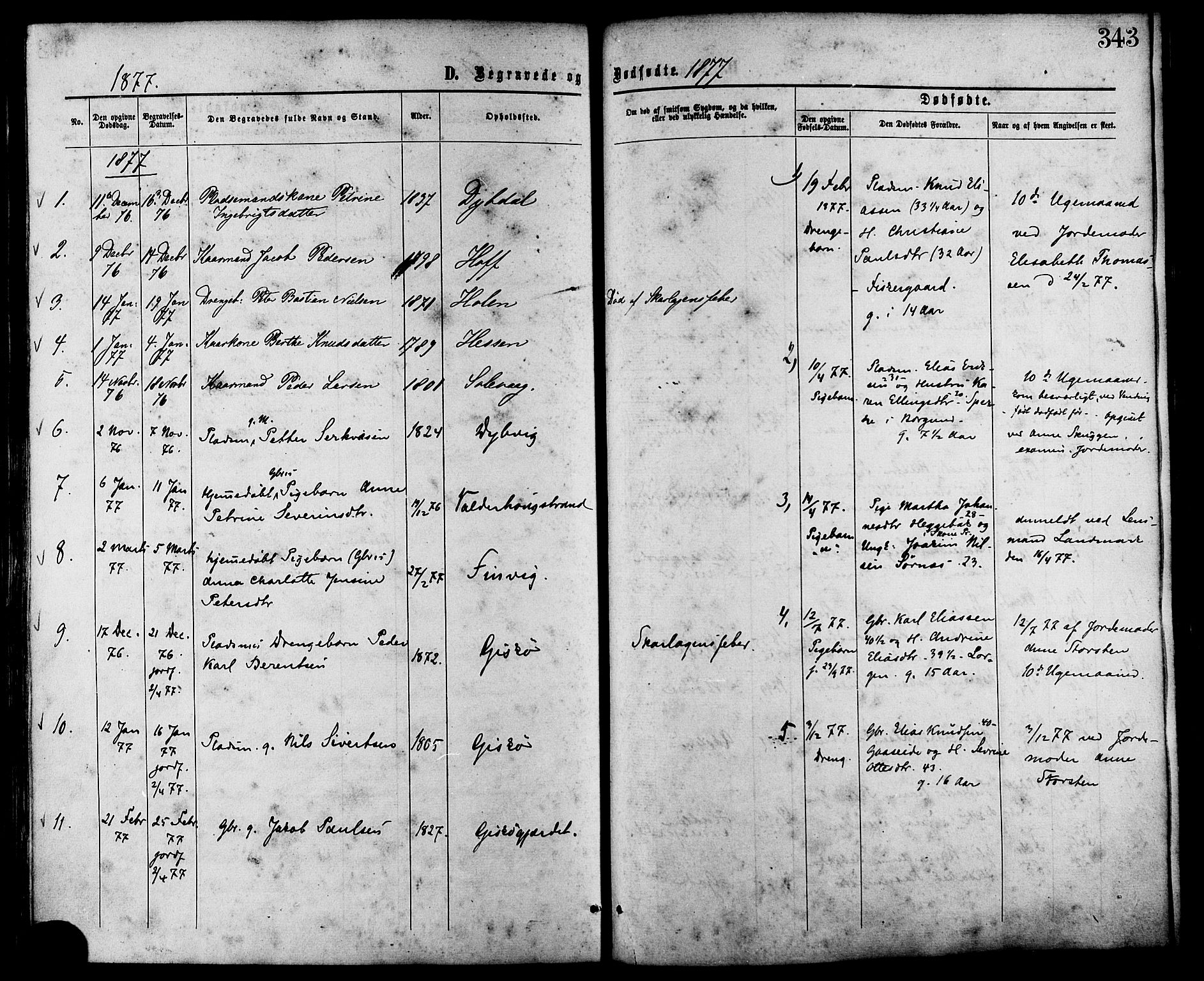 Ministerialprotokoller, klokkerbøker og fødselsregistre - Møre og Romsdal, AV/SAT-A-1454/528/L0399: Ministerialbok nr. 528A10, 1864-1879, s. 343