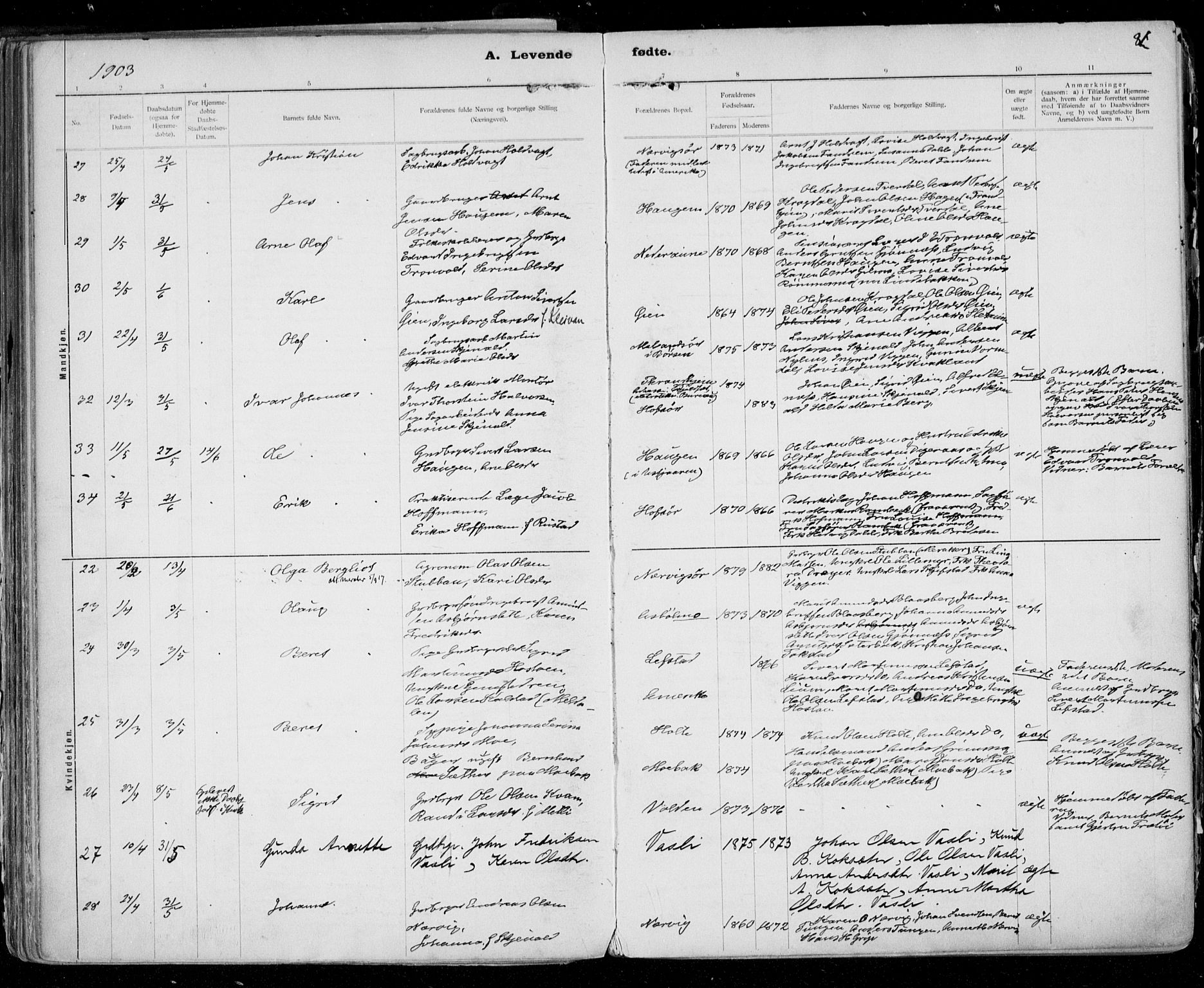 Ministerialprotokoller, klokkerbøker og fødselsregistre - Sør-Trøndelag, AV/SAT-A-1456/668/L0811: Ministerialbok nr. 668A11, 1894-1913, s. 81