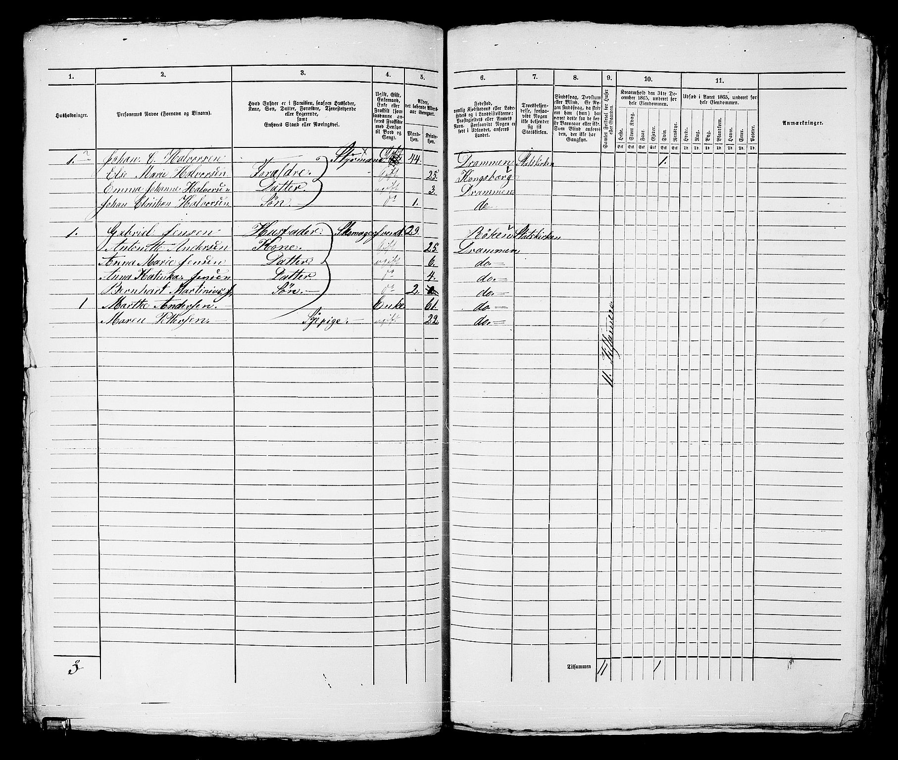 RA, Folketelling 1865 for 0602bP Strømsø prestegjeld i Drammen kjøpstad, 1865, s. 212