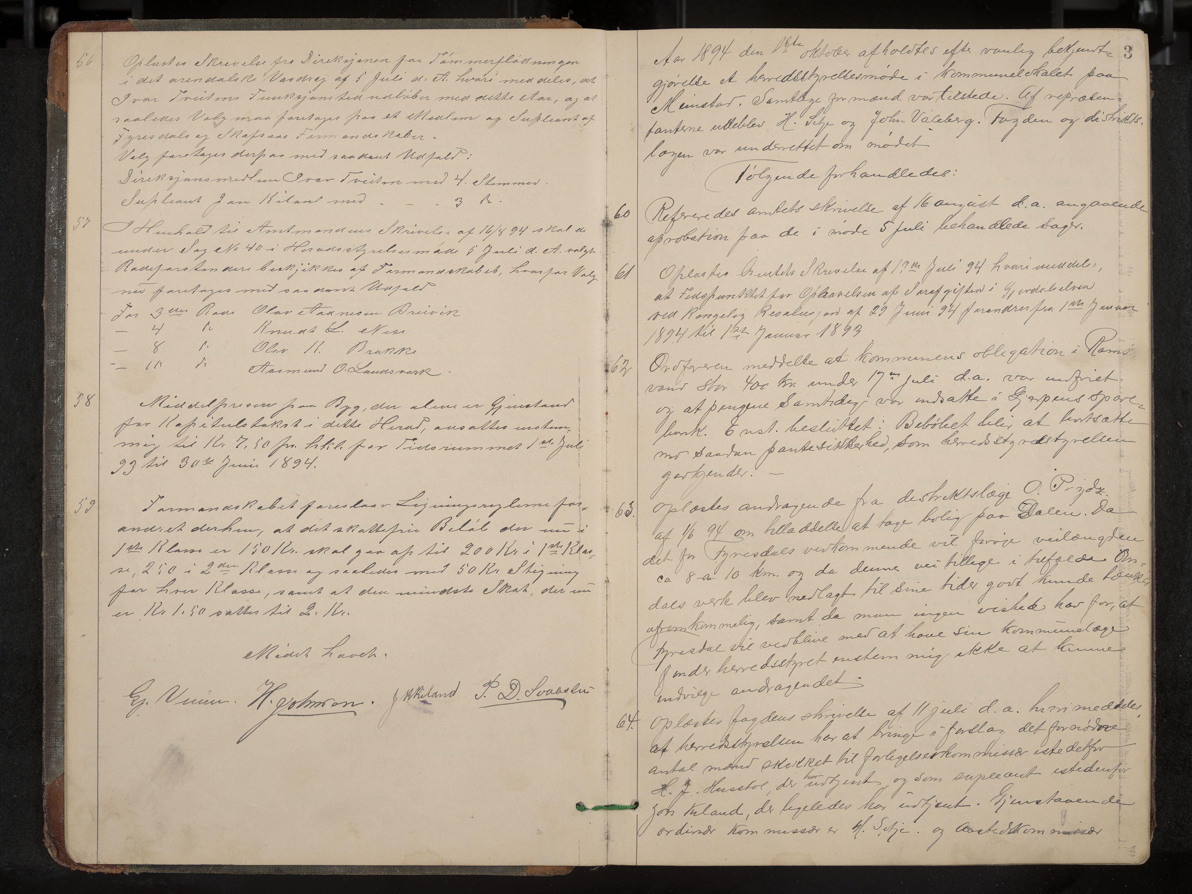 Fyresdal formannskap og sentraladministrasjon, IKAK/0831021-1/Aa/L0003: Møtebok, 1894-1903, s. 3