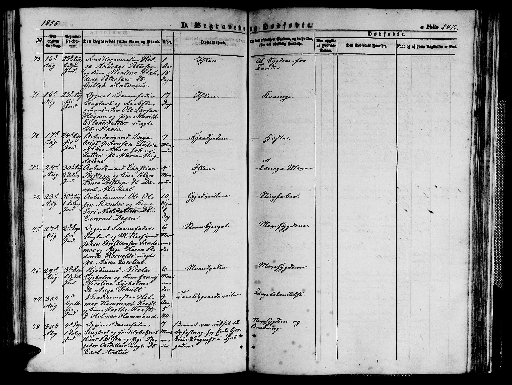 Ministerialprotokoller, klokkerbøker og fødselsregistre - Sør-Trøndelag, AV/SAT-A-1456/602/L0138: Klokkerbok nr. 602C06, 1853-1858, s. 247