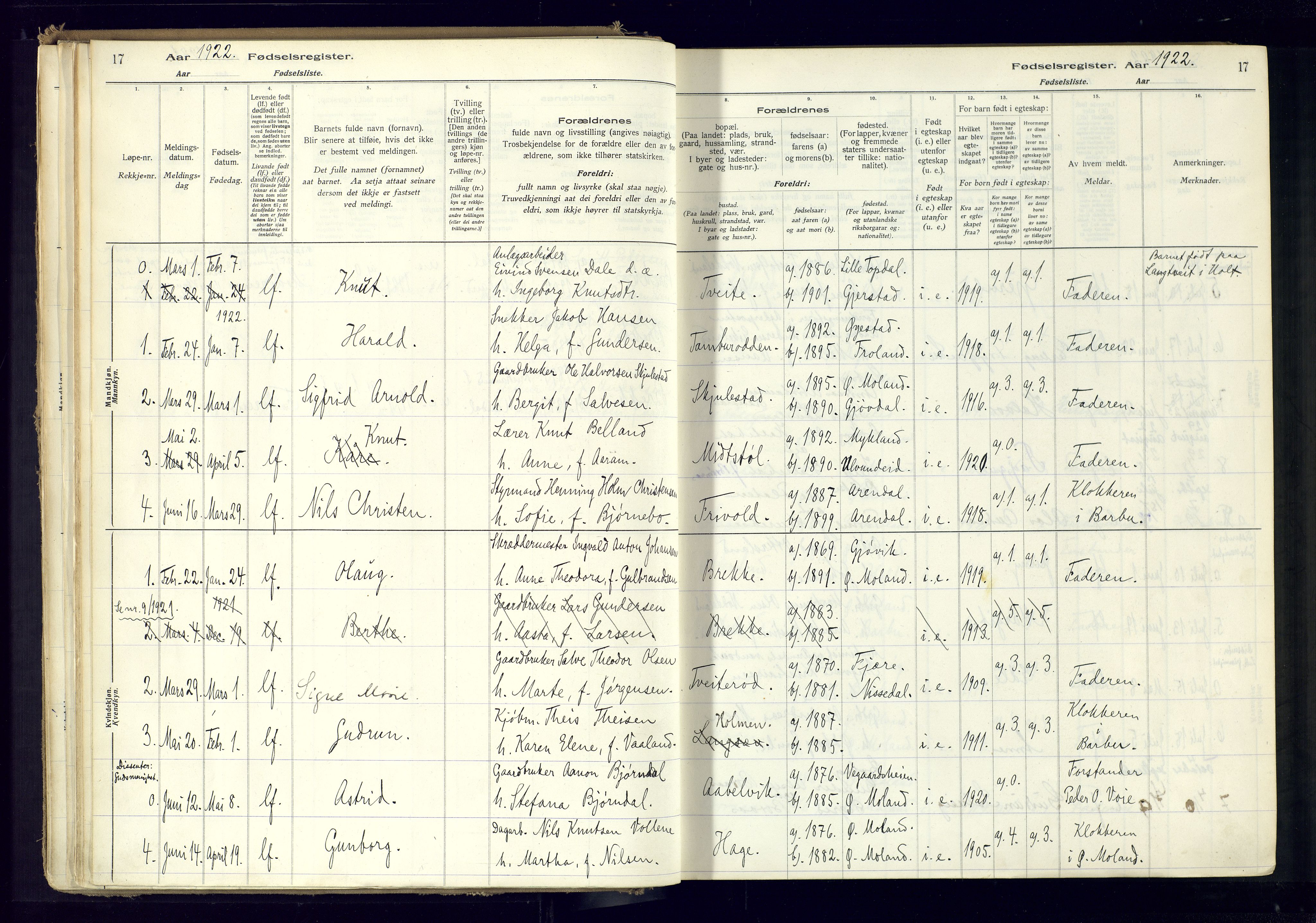 Austre Moland sokneprestkontor, AV/SAK-1111-0001/J/Ja/L0001: Fødselsregister nr. A-VI-25, 1916-1975, s. 17