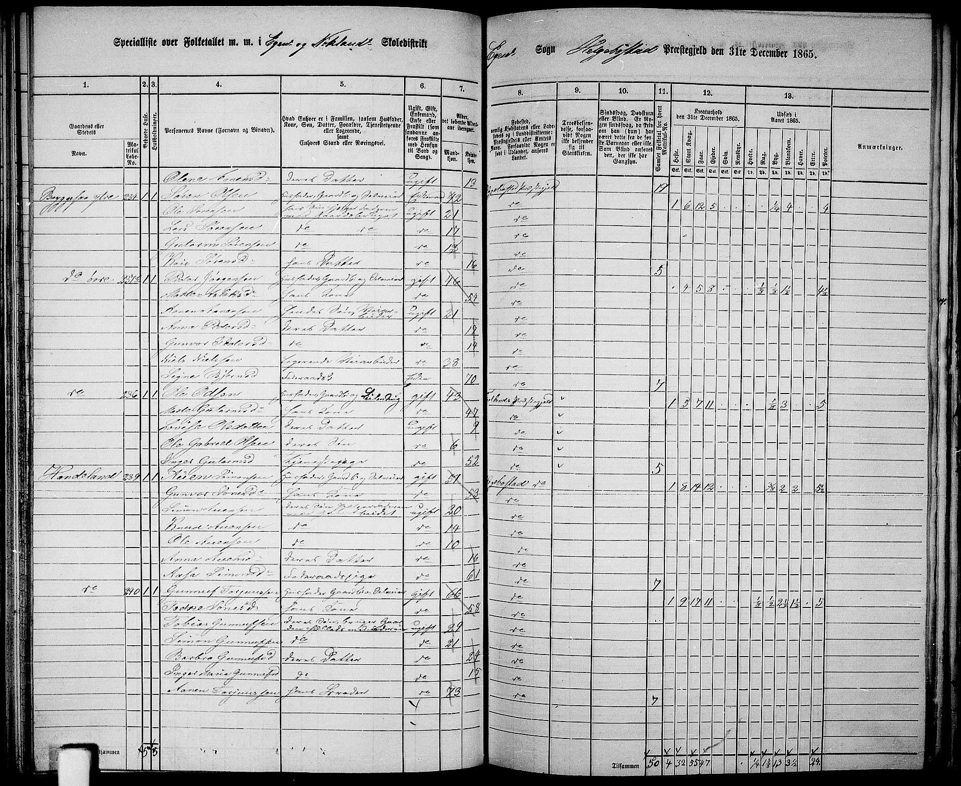 RA, Folketelling 1865 for 1034P Hægebostad prestegjeld, 1865, s. 87