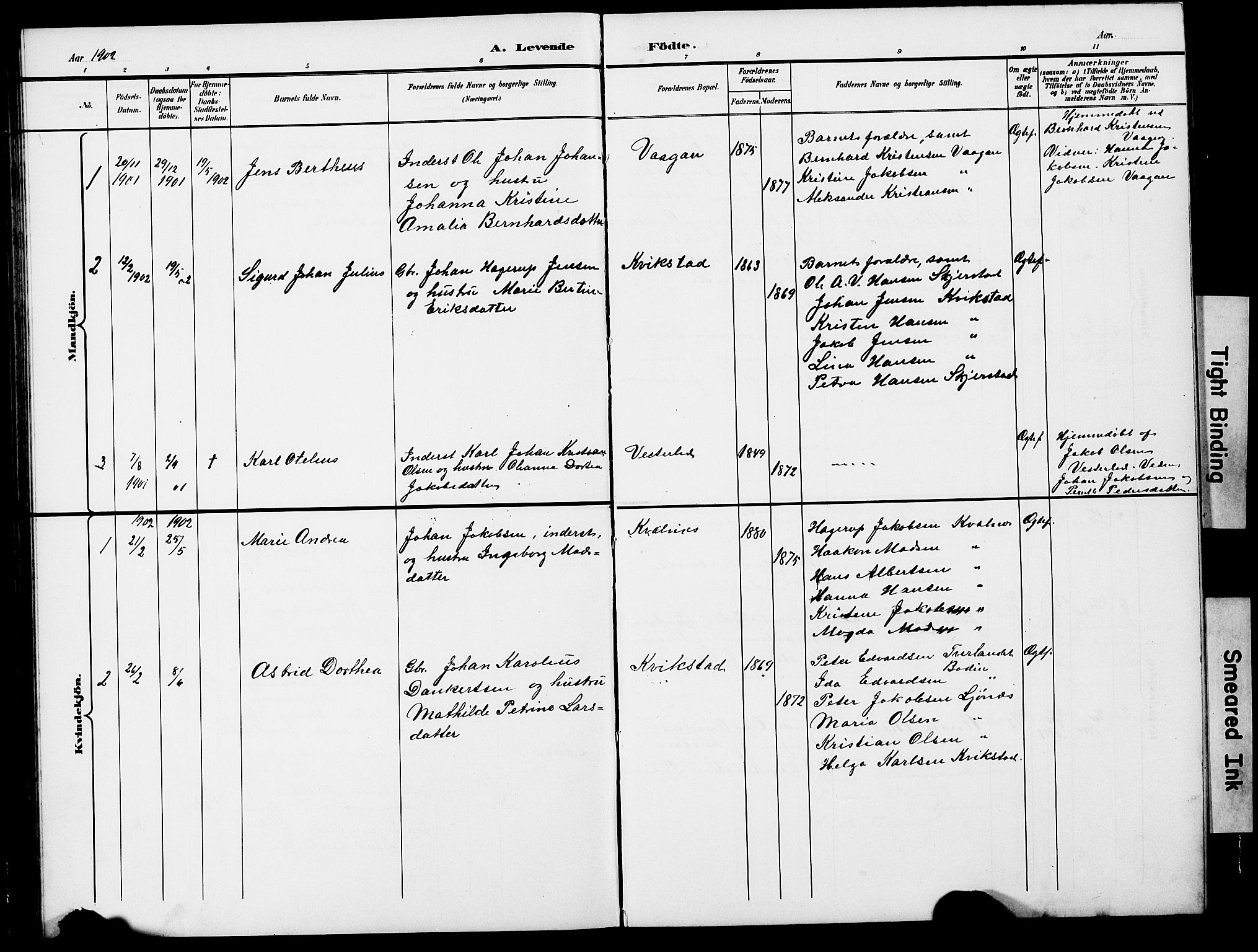 Ministerialprotokoller, klokkerbøker og fødselsregistre - Nordland, SAT/A-1459/852/L0755: Klokkerbok nr. 852C06, 1895-1902