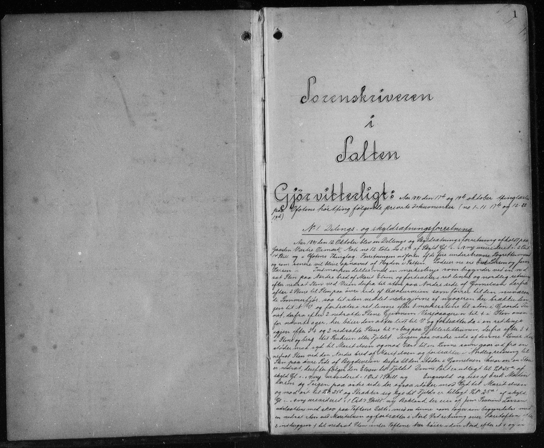 Salten sorenskriveri, SAT/A-4578/1/2/2C/L0026: Pantebok nr. V, 1891-1894, s. 1