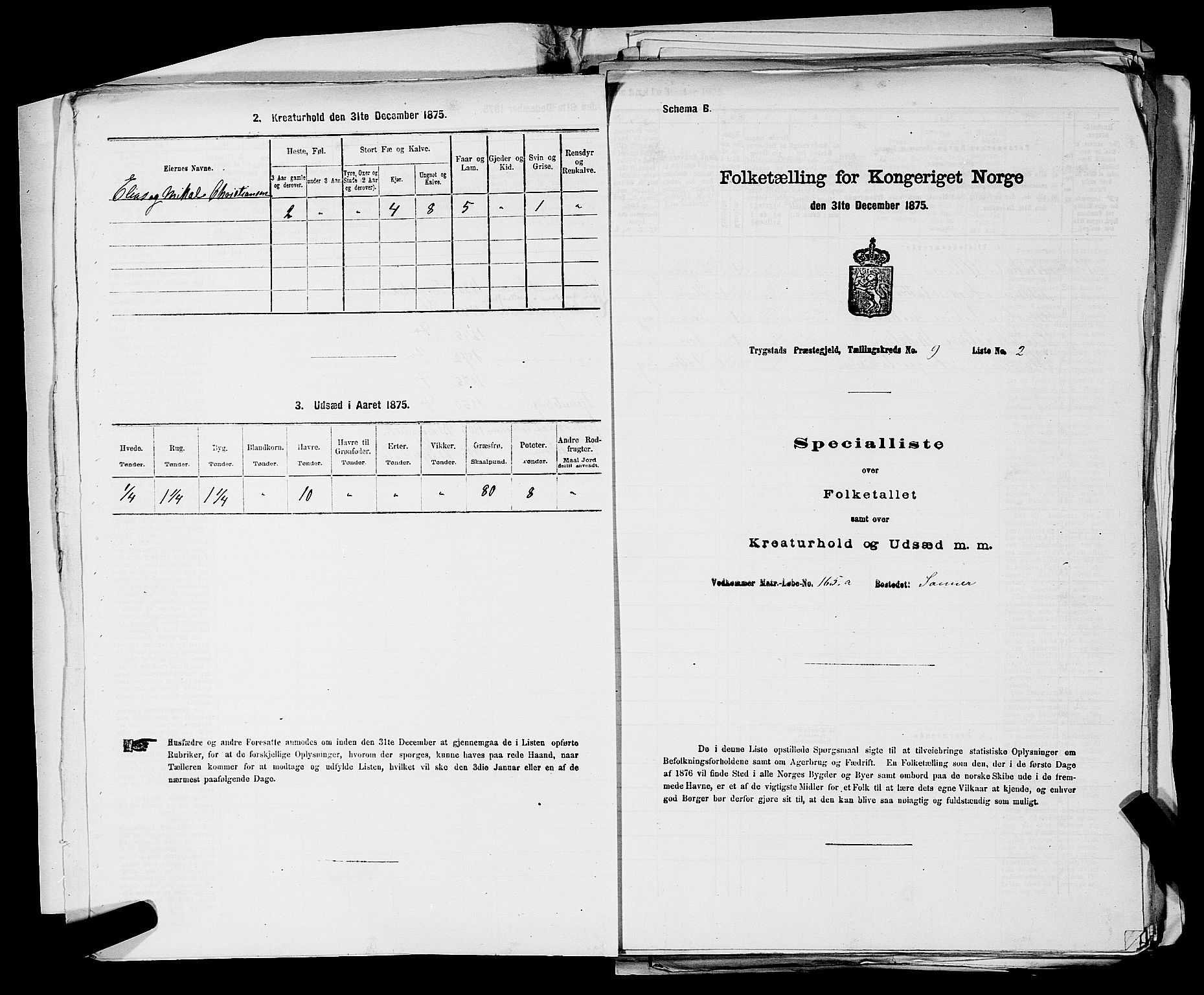 RA, Folketelling 1875 for 0122P Trøgstad prestegjeld, 1875, s. 967