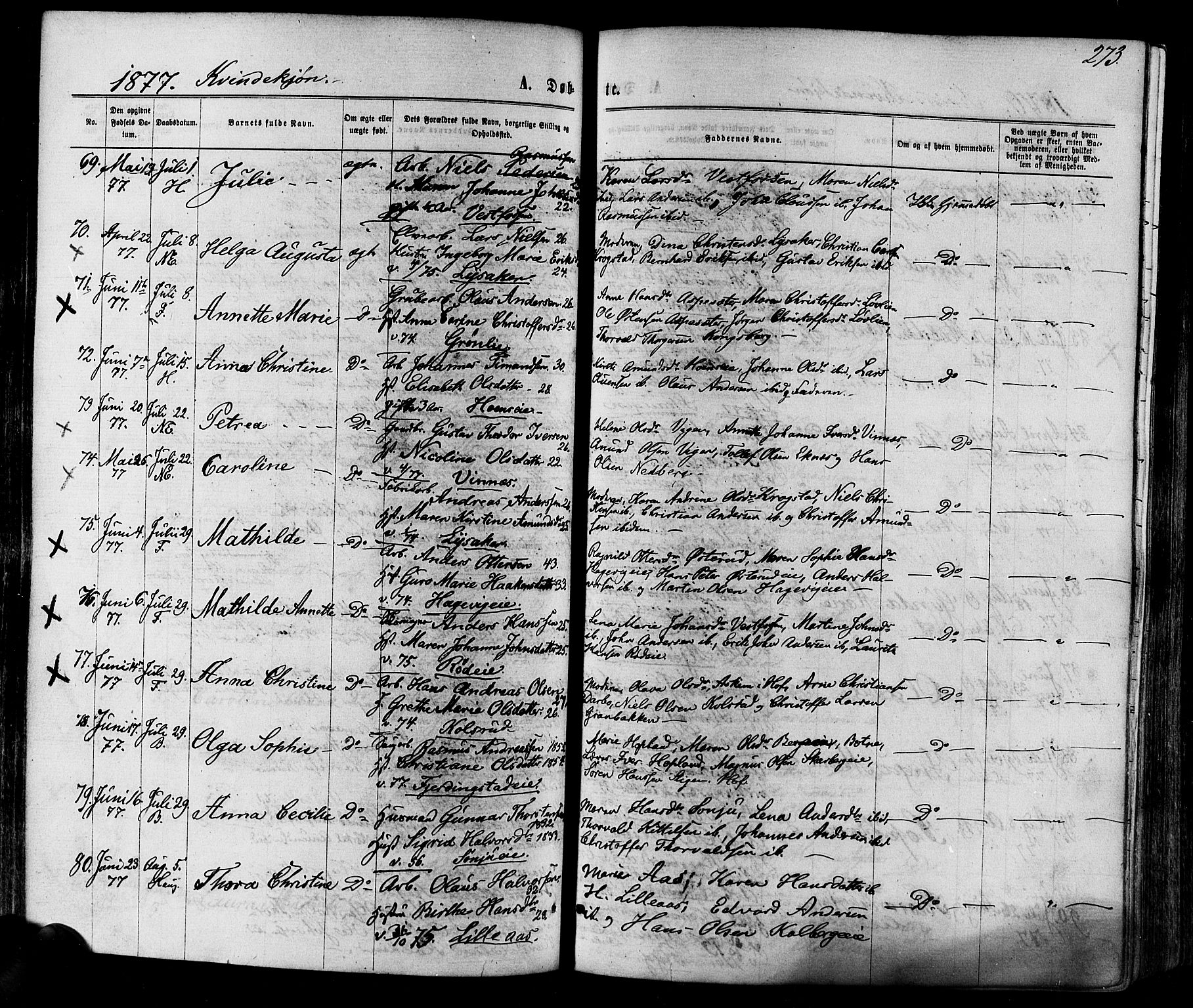 Eiker kirkebøker, AV/SAKO-A-4/F/Fa/L0017: Ministerialbok nr. I 17, 1869-1877, s. 273