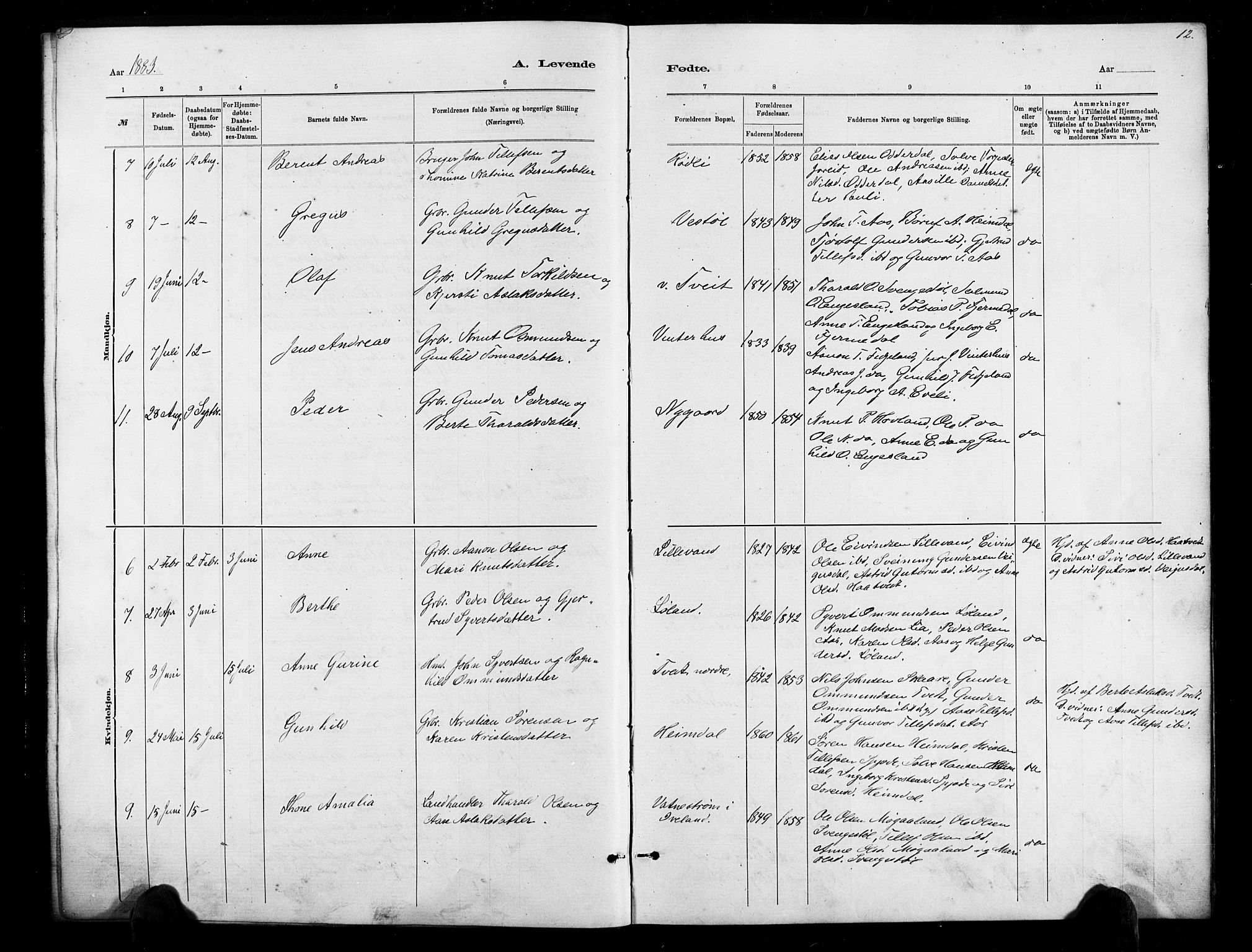 Herefoss sokneprestkontor, AV/SAK-1111-0019/F/Fb/Fbb/L0002: Klokkerbok nr. B 2, 1879-1894, s. 12