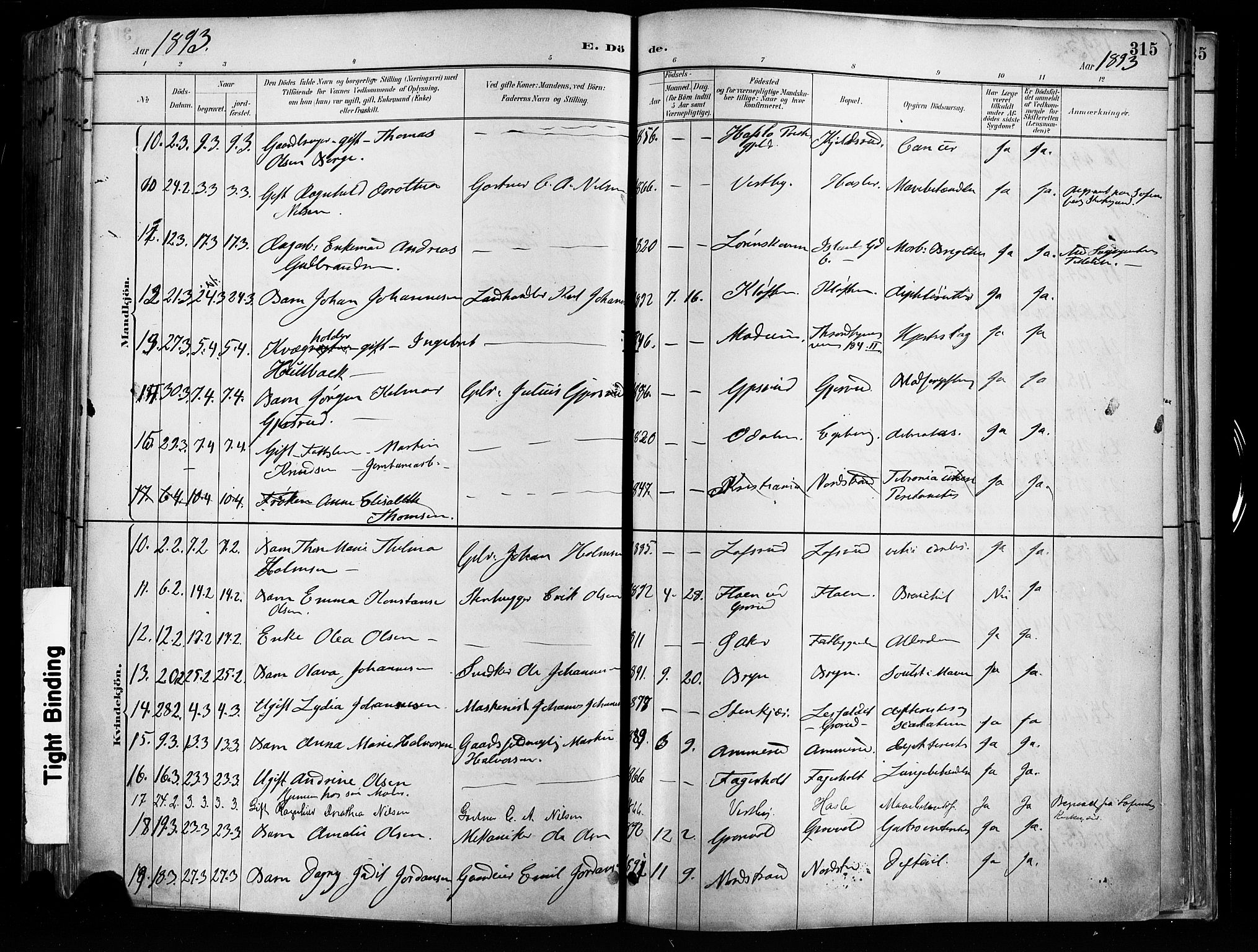 Østre Aker prestekontor Kirkebøker, AV/SAO-A-10840/F/Fa/L0008: Ministerialbok nr. I 8, 1883-1894, s. 315