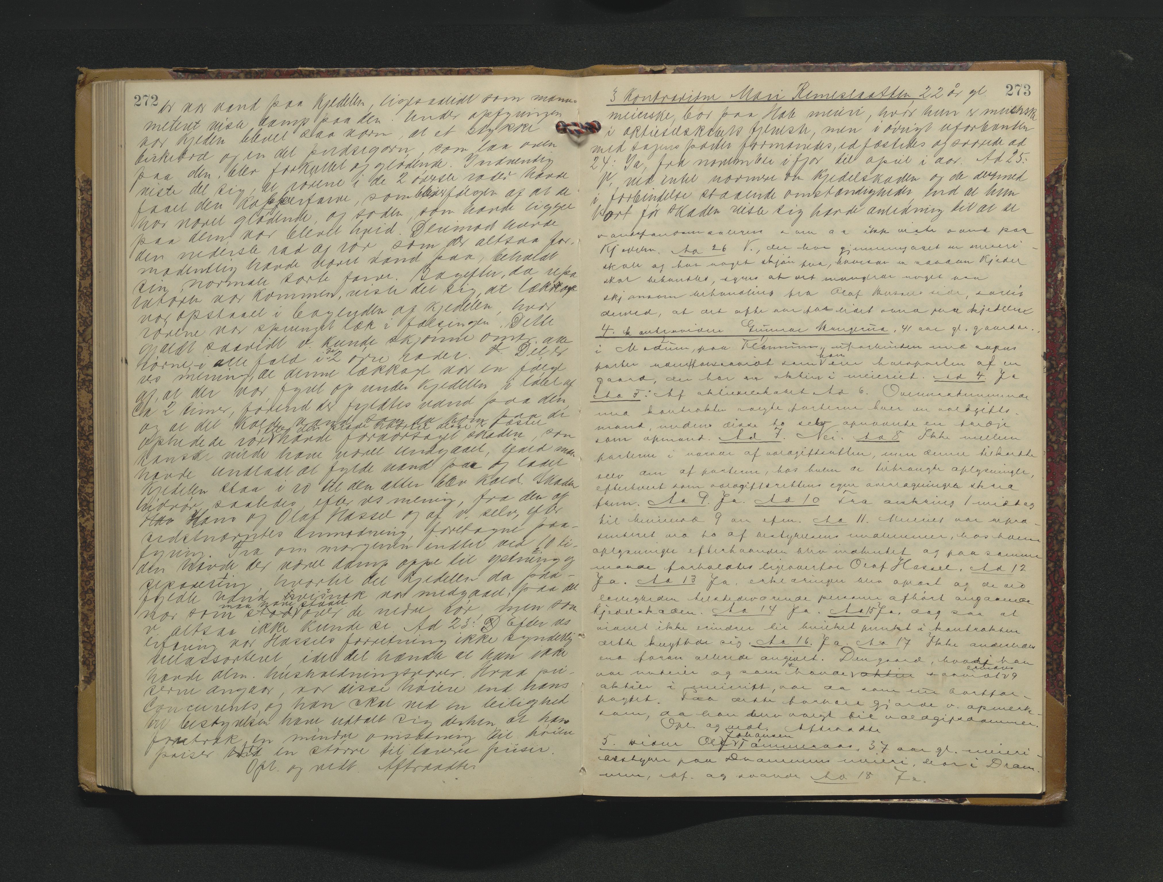 Eiker, Modum og Sigdal sorenskriveri, AV/SAKO-A-123/H/Hb/Hbb/Hbbc/L0006: Registerings- og forhandlingsprotokoll, 1902-1906, s. 272-273