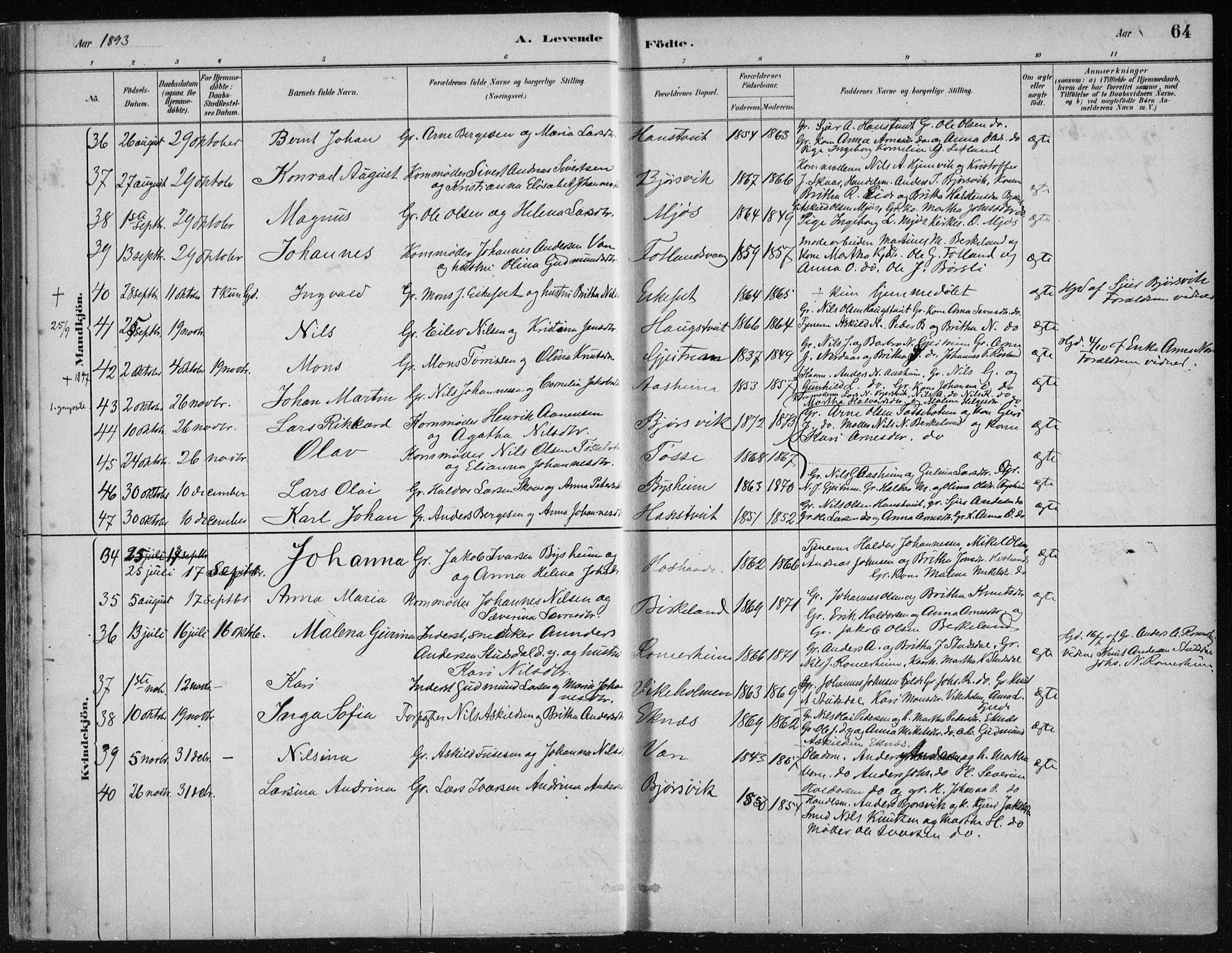 Hosanger sokneprestembete, AV/SAB-A-75801/H/Haa: Ministerialbok nr. B  1, 1880-1896, s. 64