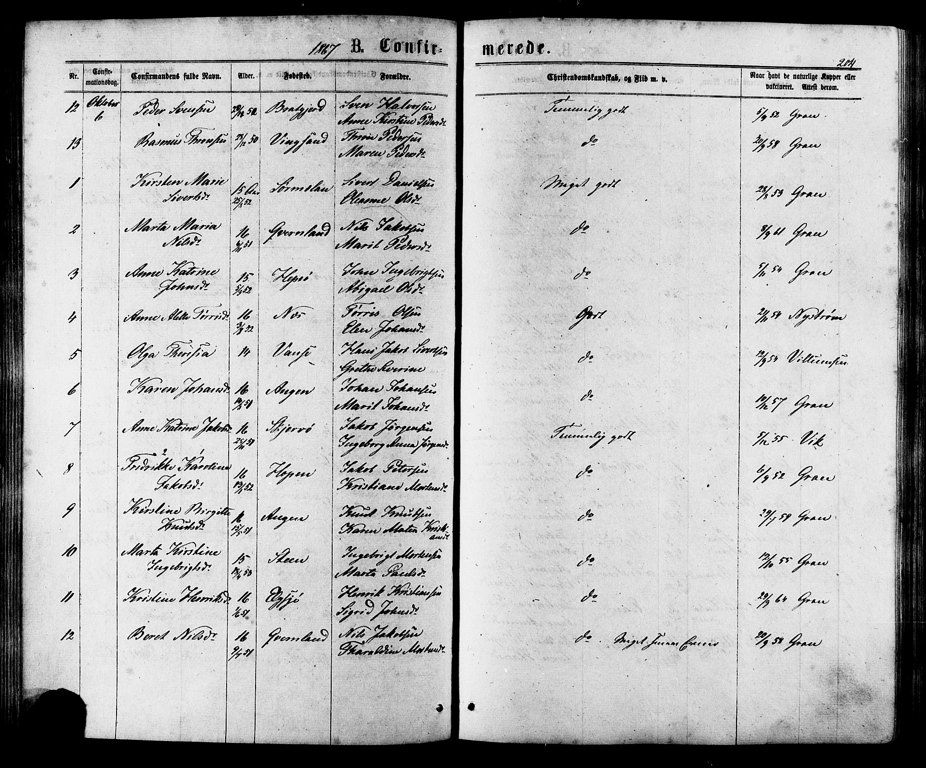 Ministerialprotokoller, klokkerbøker og fødselsregistre - Sør-Trøndelag, SAT/A-1456/657/L0706: Ministerialbok nr. 657A07, 1867-1878, s. 204