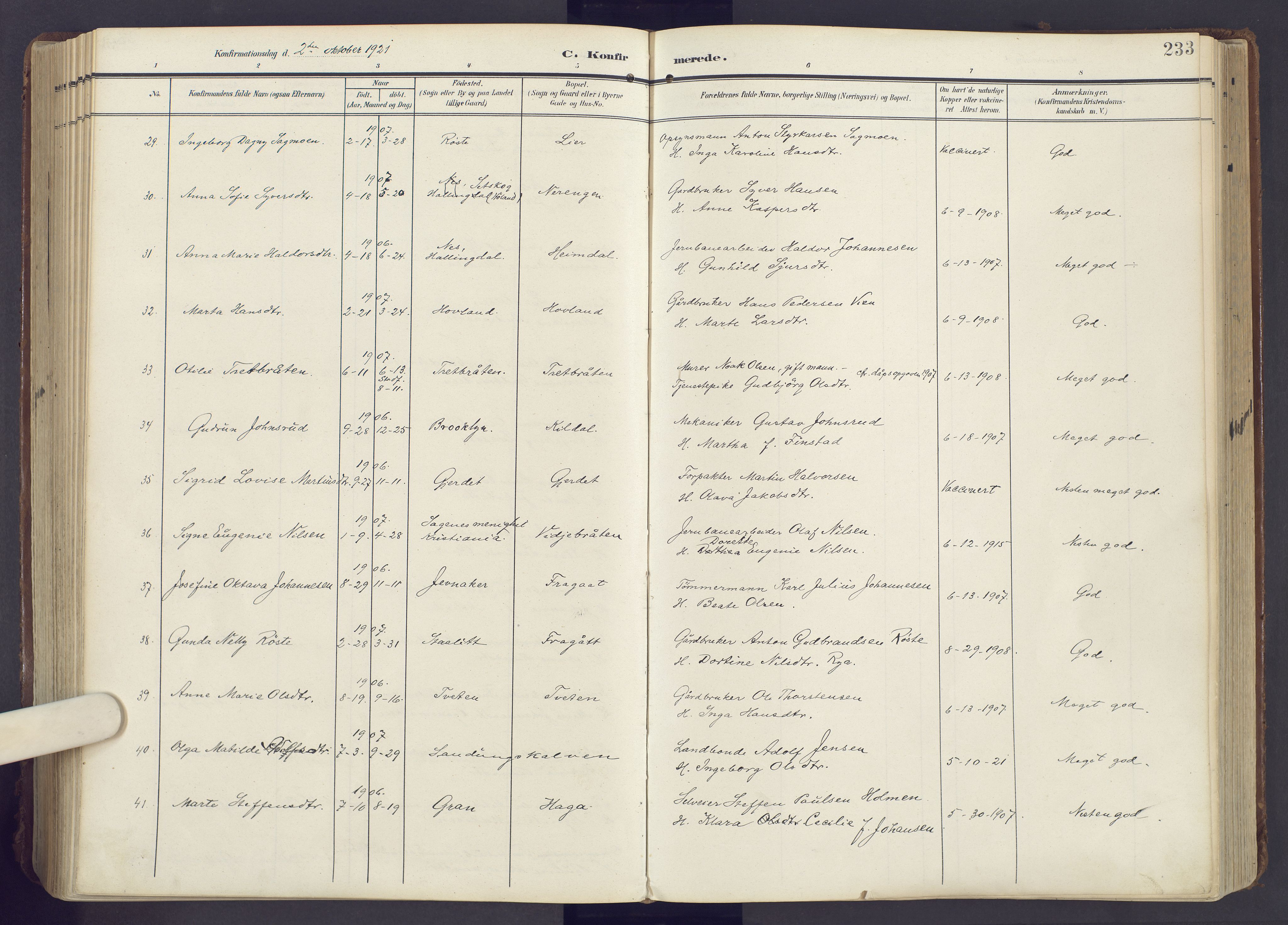 Lunner prestekontor, SAH/PREST-118/H/Ha/Haa/L0001: Ministerialbok nr. 1, 1907-1922, s. 233