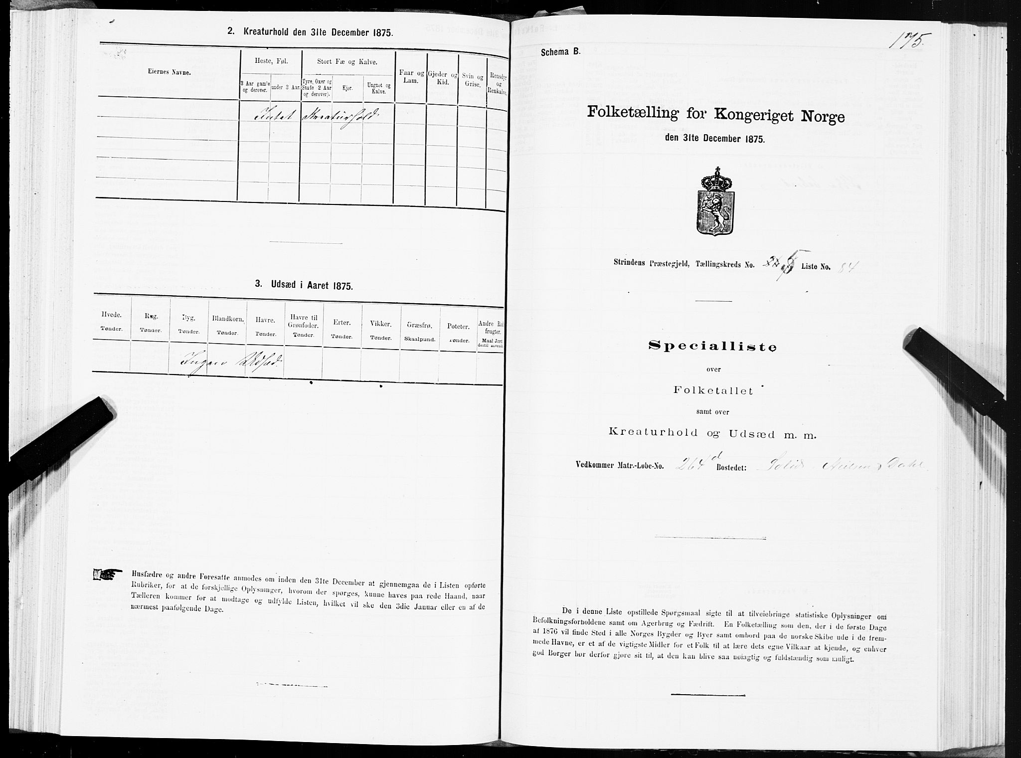 SAT, Folketelling 1875 for 1660P Strinda prestegjeld, 1875, s. 3175