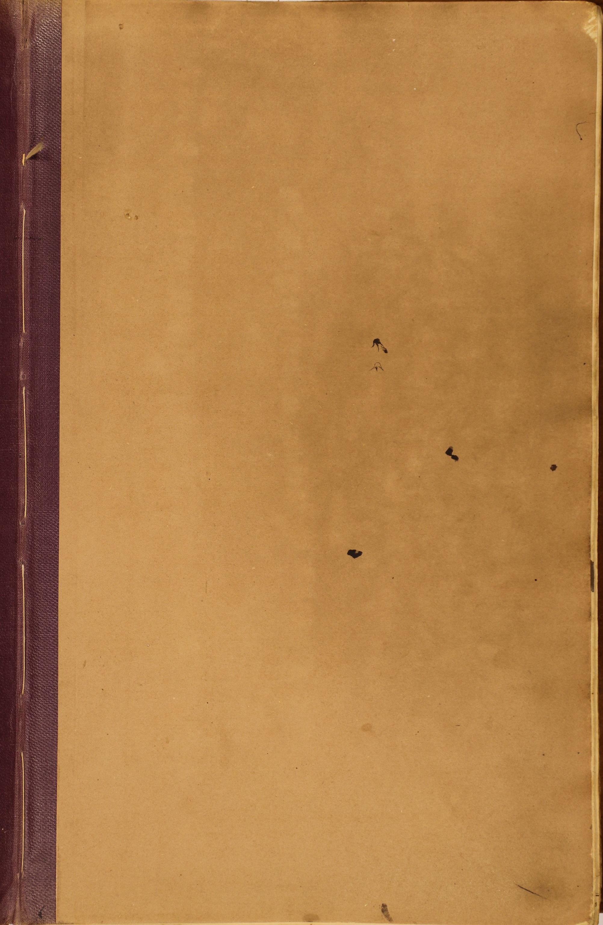 Brodtkorb handel A/S, VAMU/A-0001/R/Ra/L0001: Russisk hovedbok nummer 5, 1866-1904