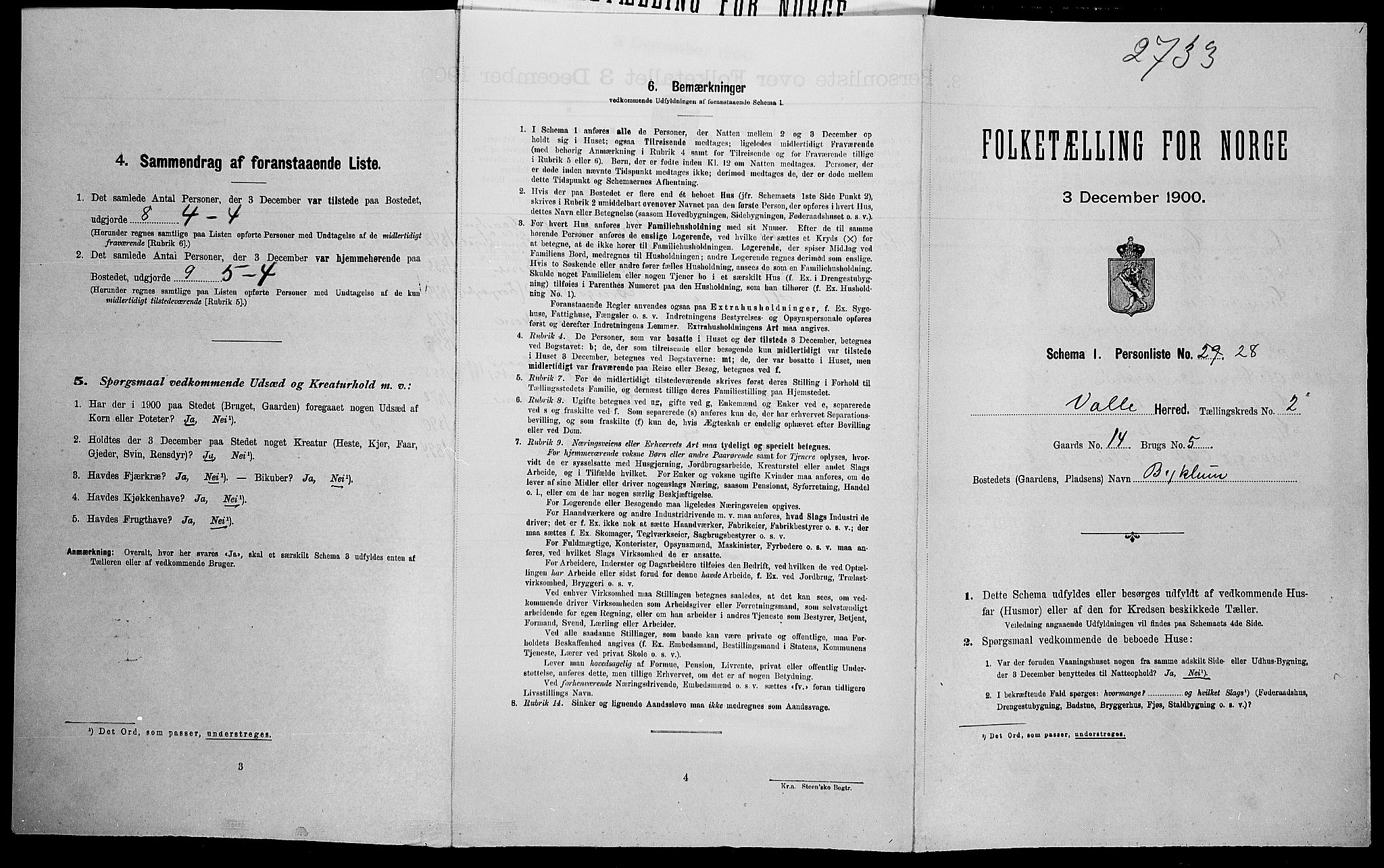 SAK, Folketelling 1900 for 0940 Valle herred, 1900, s. 205