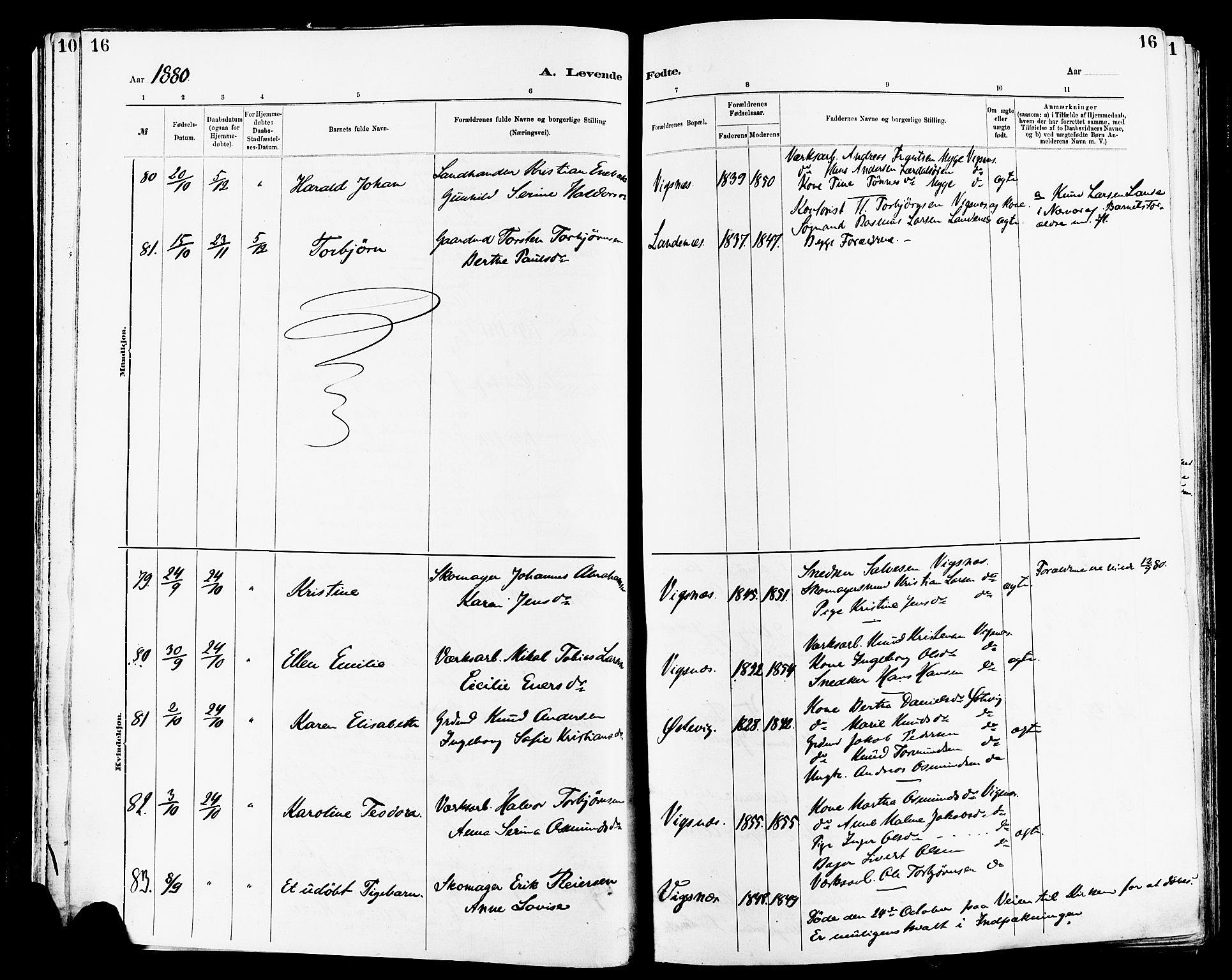 Avaldsnes sokneprestkontor, AV/SAST-A -101851/H/Ha/Haa/L0014: Ministerialbok nr. A 14, 1880-1889, s. 16