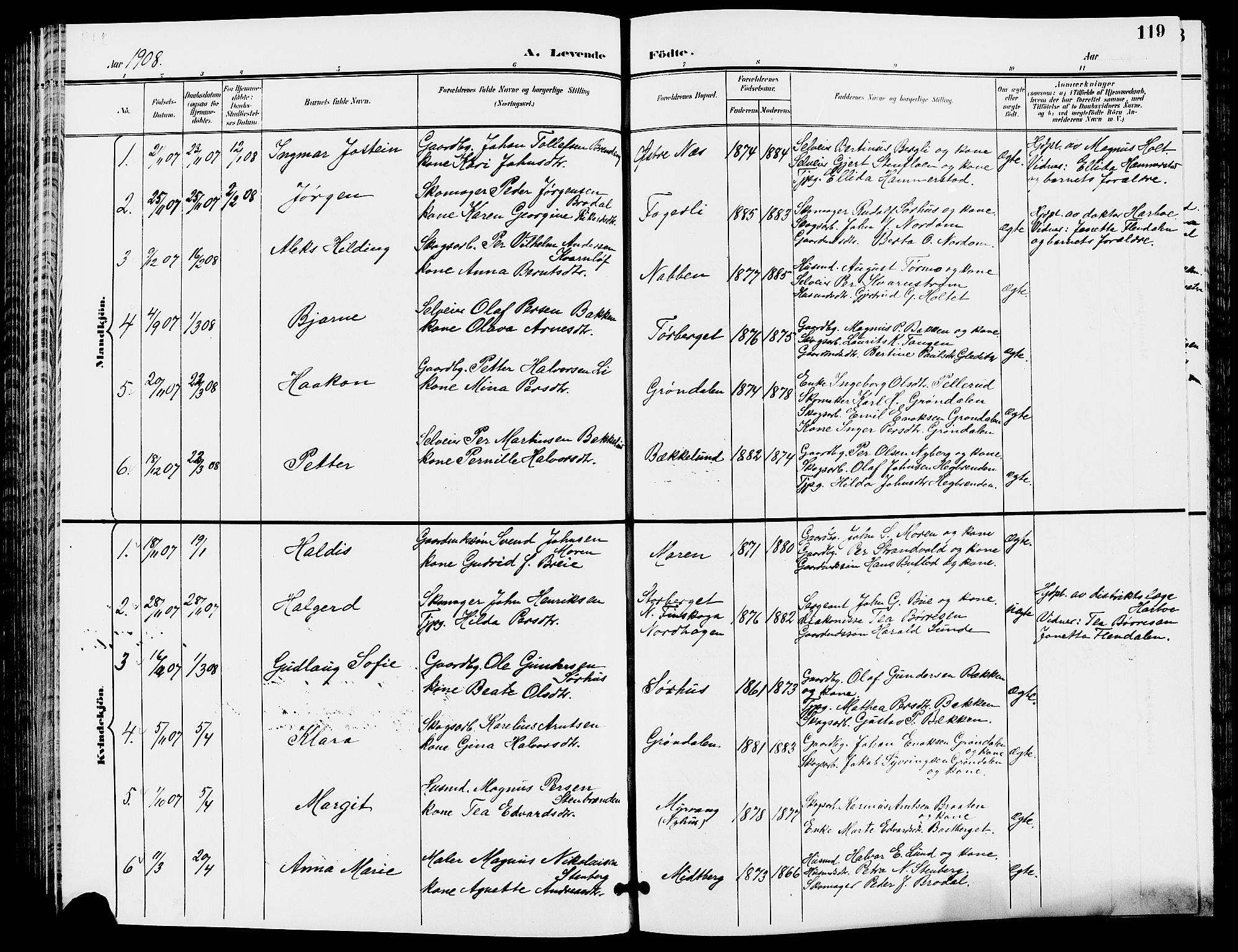 Trysil prestekontor, AV/SAH-PREST-046/H/Ha/Hab/L0006: Klokkerbok nr. 6, 1896-1912, s. 119