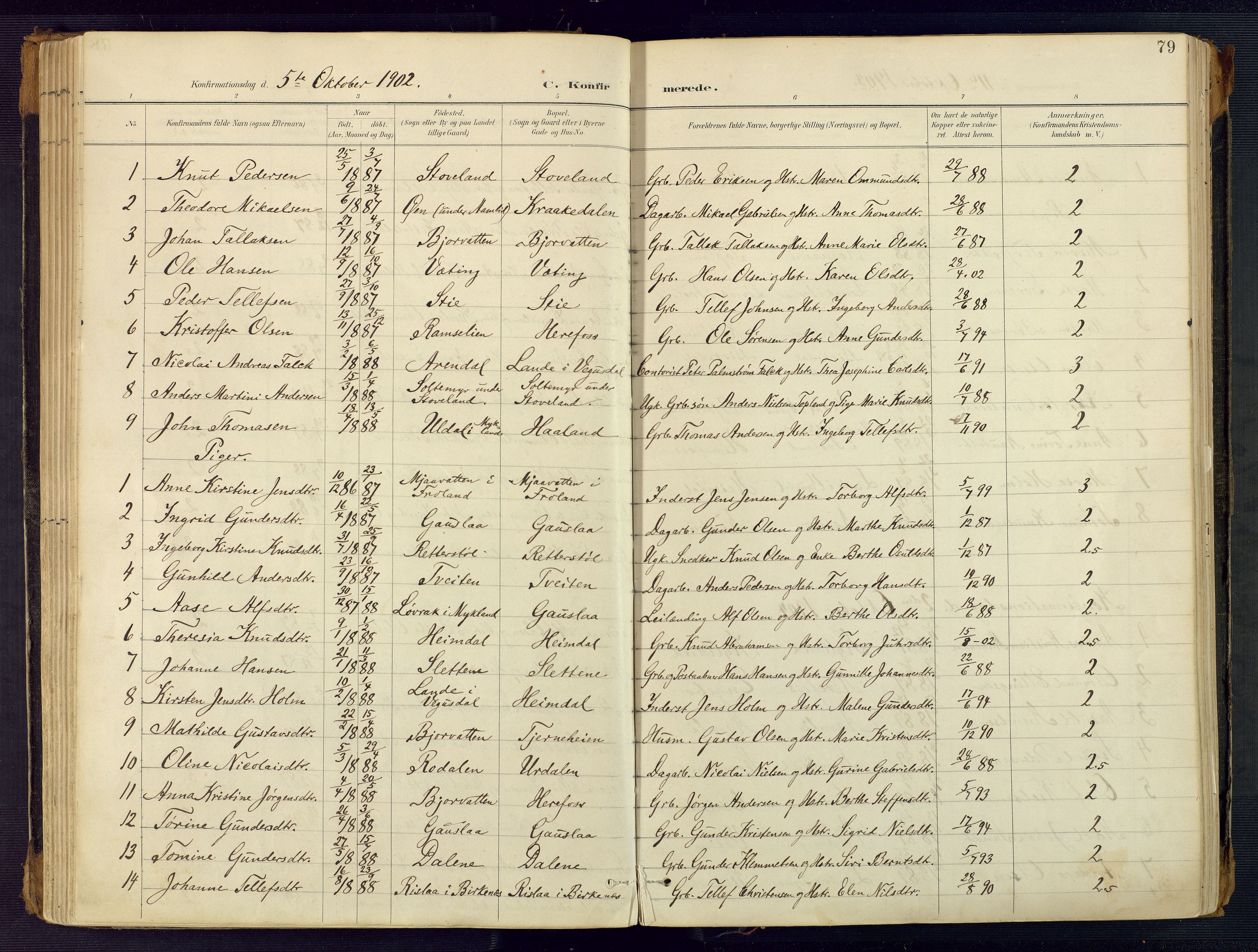 Herefoss sokneprestkontor, AV/SAK-1111-0019/F/Fa/Faa/L0003: Ministerialbok nr. A 3, 1887-1930, s. 79