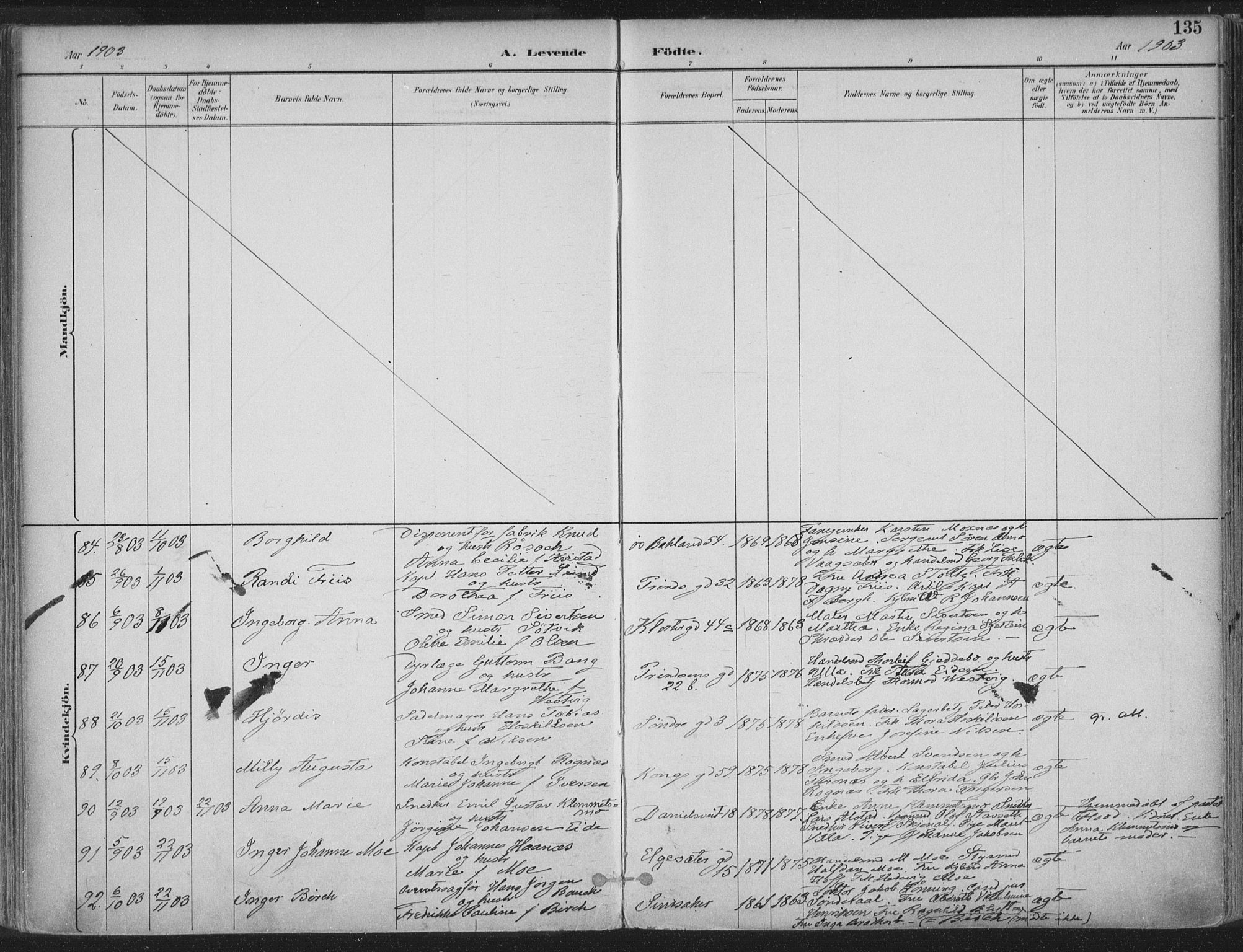 Ministerialprotokoller, klokkerbøker og fødselsregistre - Sør-Trøndelag, AV/SAT-A-1456/601/L0062: Ministerialbok nr. 601A30, 1891-1911, s. 135
