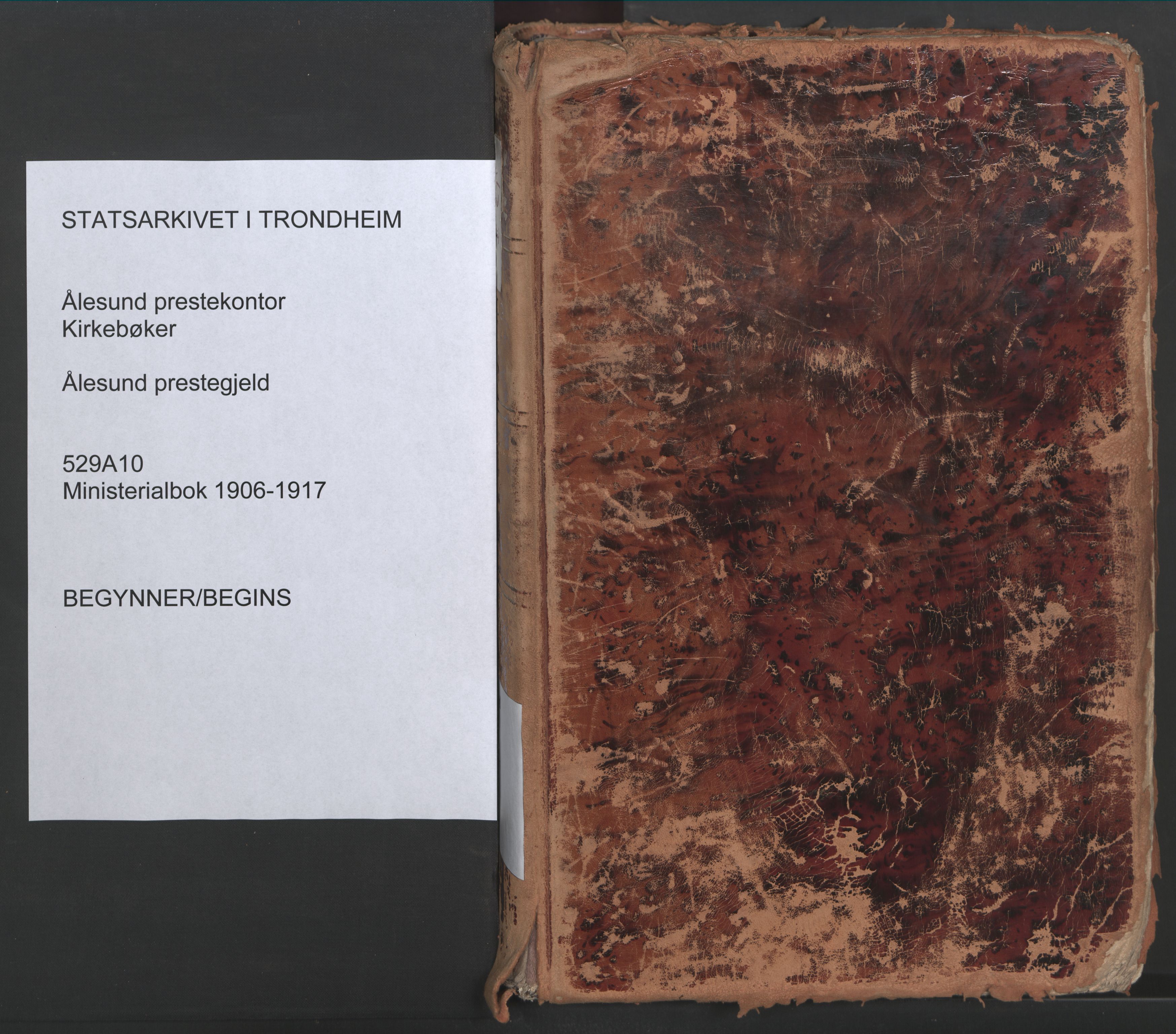 Ministerialprotokoller, klokkerbøker og fødselsregistre - Møre og Romsdal, AV/SAT-A-1454/529/L0460: Ministerialbok nr. 529A10, 1906-1917