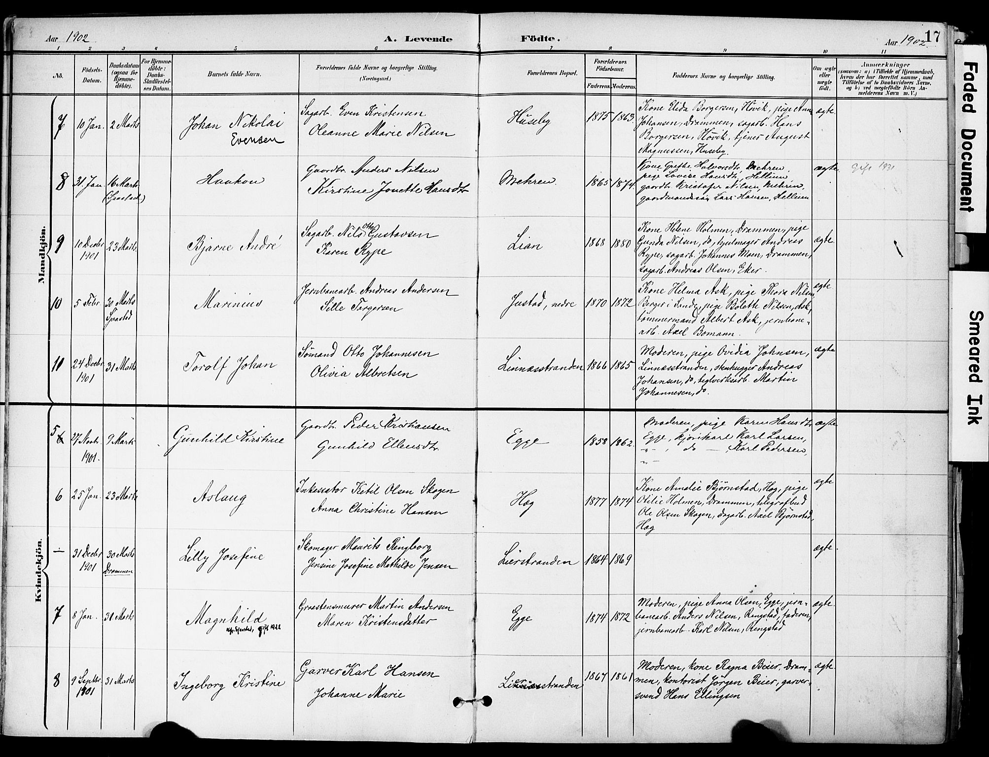 Lier kirkebøker, AV/SAKO-A-230/F/Fa/L0017: Ministerialbok nr. I 17, 1901-1908, s. 17