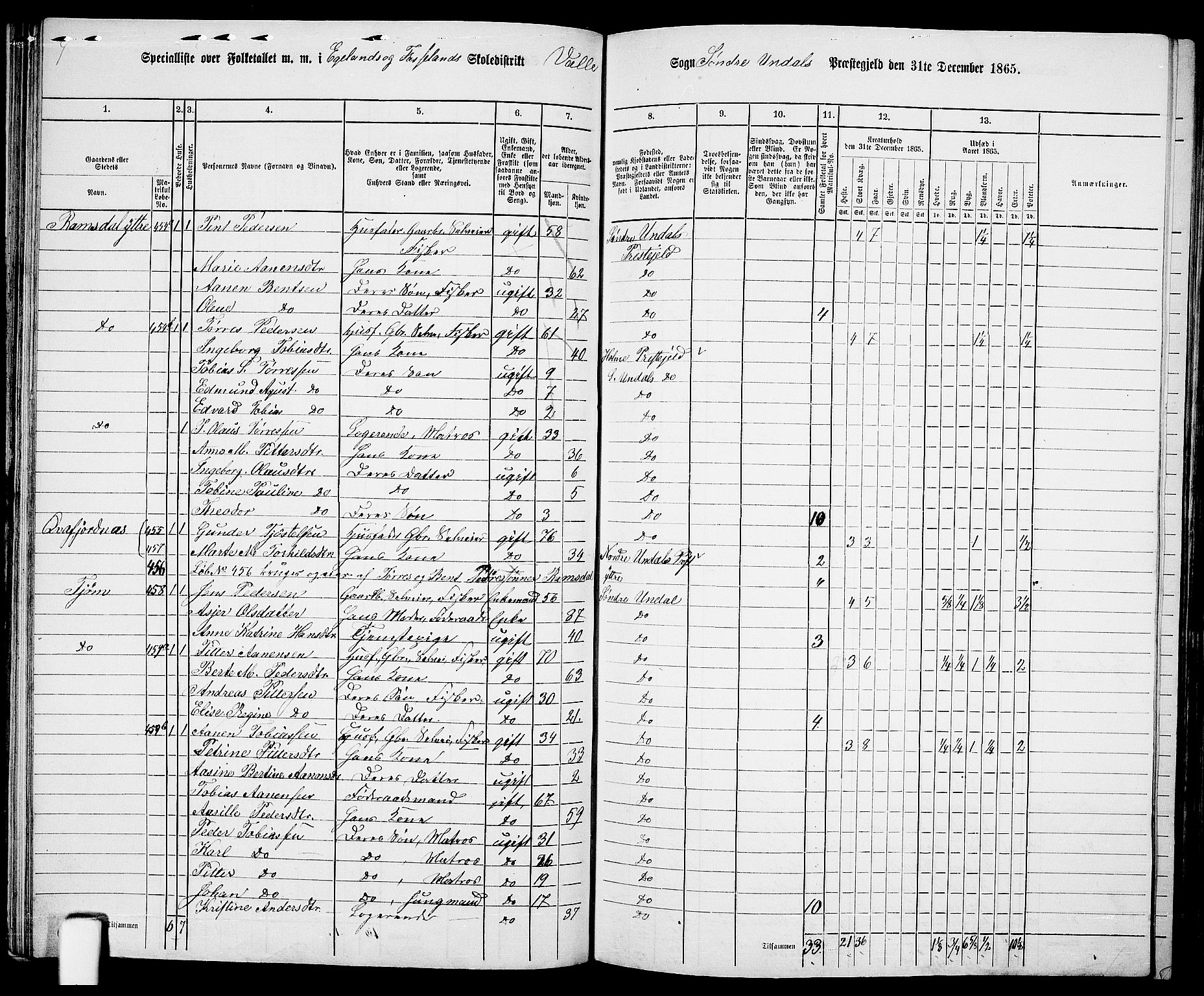 RA, Folketelling 1865 for 1029P Sør-Audnedal prestegjeld, 1865, s. 71