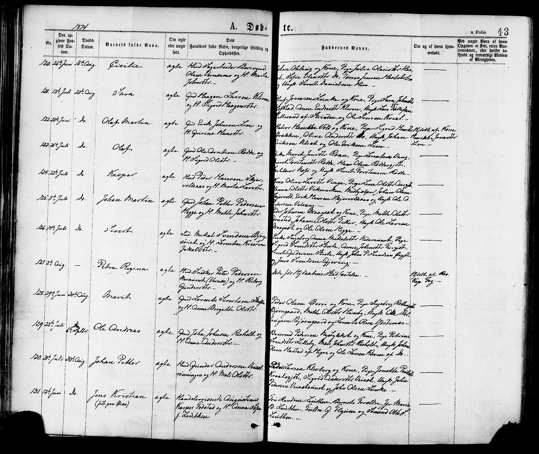 Ministerialprotokoller, klokkerbøker og fødselsregistre - Nord-Trøndelag, AV/SAT-A-1458/709/L0076: Ministerialbok nr. 709A16, 1871-1879, s. 43