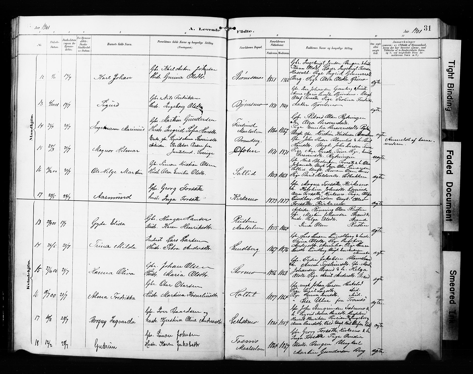 Målselv sokneprestembete, AV/SATØ-S-1311/G/Ga/Gab/L0008klokker: Klokkerbok nr. 8, 1895-1913, s. 31