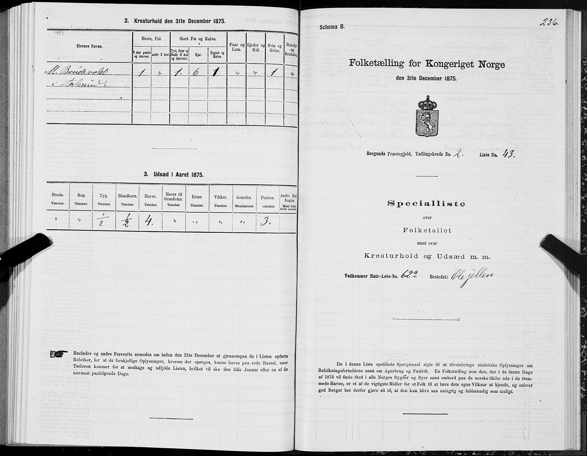 SAT, Folketelling 1875 for 1531P Borgund prestegjeld, 1875, s. 1236