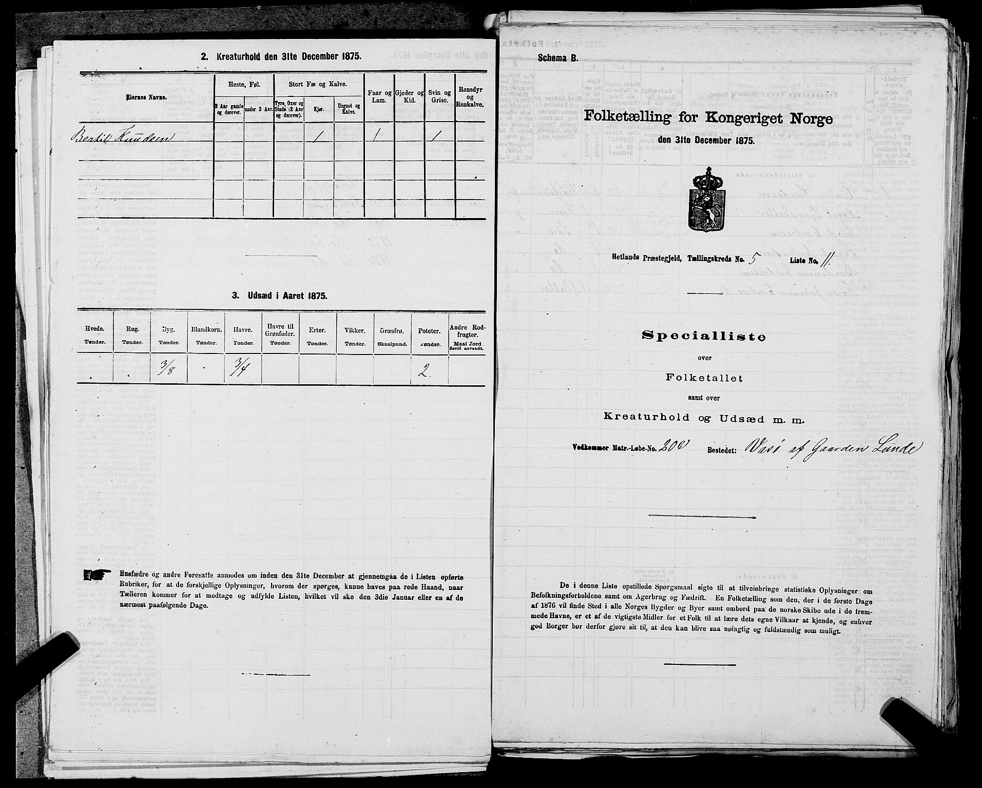 SAST, Folketelling 1875 for 1126P Hetland prestegjeld, 1875, s. 1072