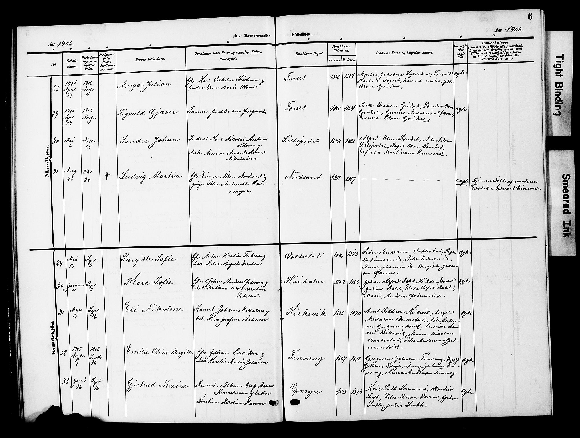 Ministerialprotokoller, klokkerbøker og fødselsregistre - Nordland, AV/SAT-A-1459/893/L1350: Klokkerbok nr. 893C05, 1906-1927, s. 6