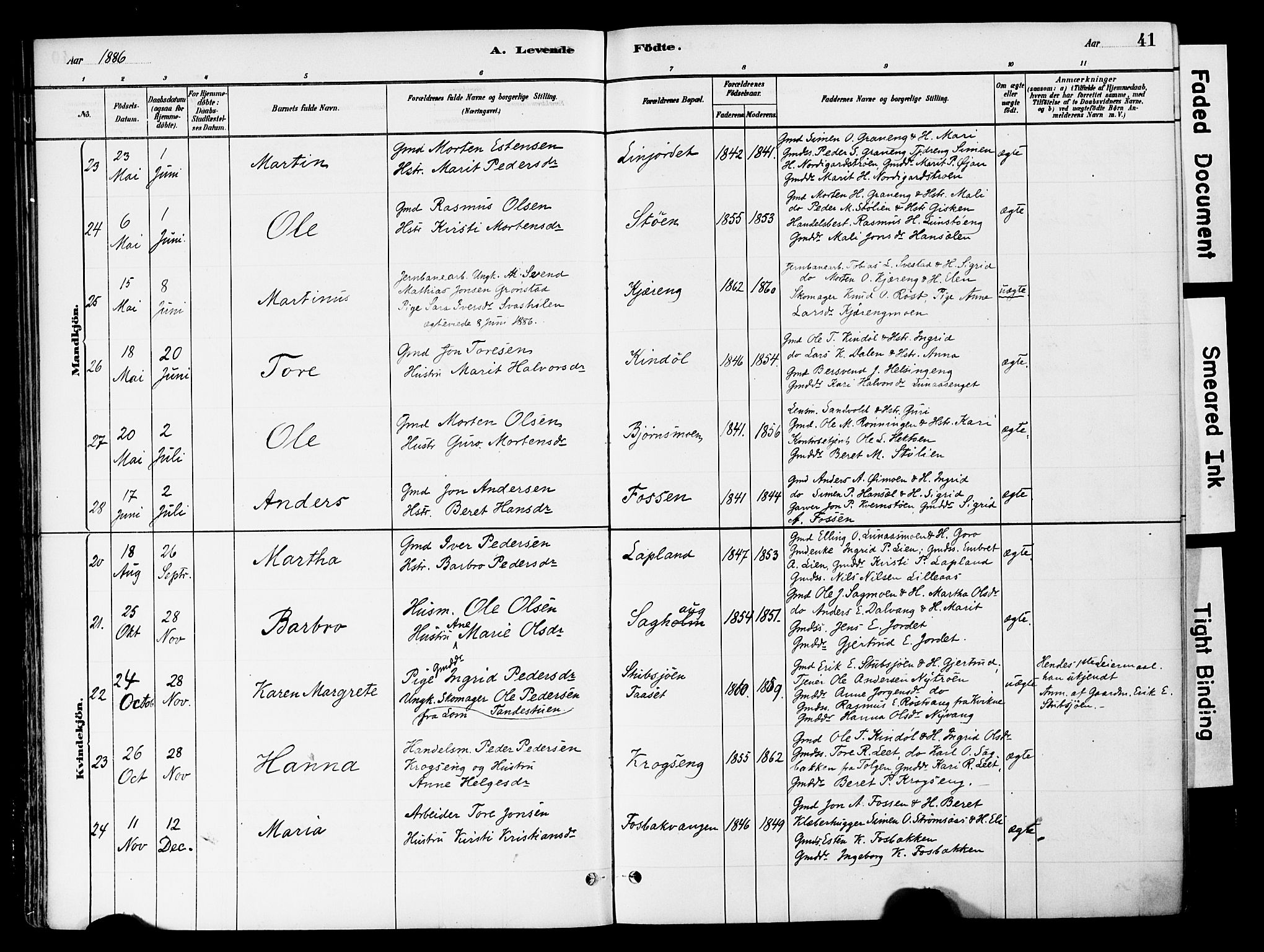 Tynset prestekontor, AV/SAH-PREST-058/H/Ha/Haa/L0022: Ministerialbok nr. 22, 1880-1899, s. 41