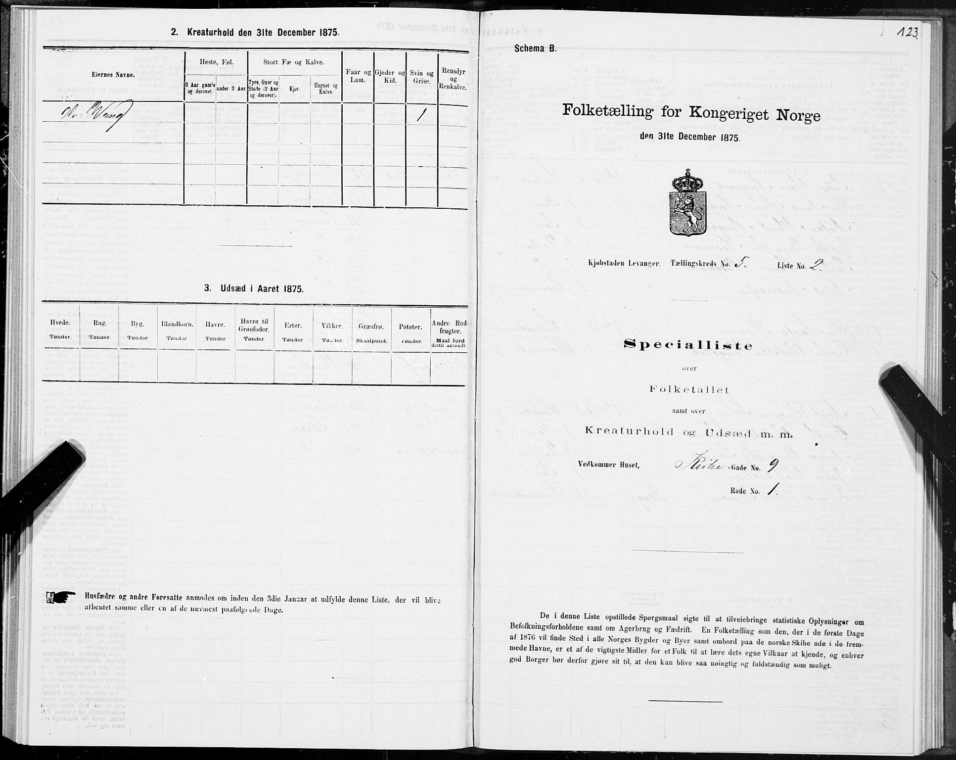 SAT, Folketelling 1875 for 1701B Levanger prestegjeld, Levanger kjøpstad, 1875, s. 123