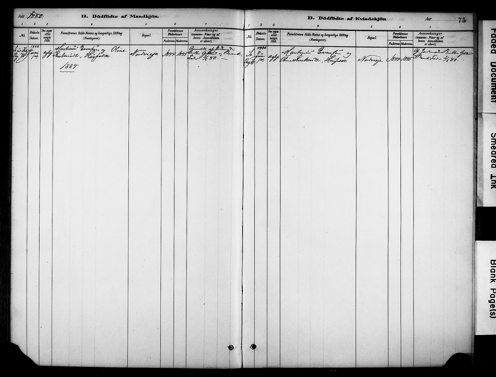 Stange prestekontor, SAH/PREST-002/K/L0019: Ministerialbok nr. 19, 1880-1891, s. 75