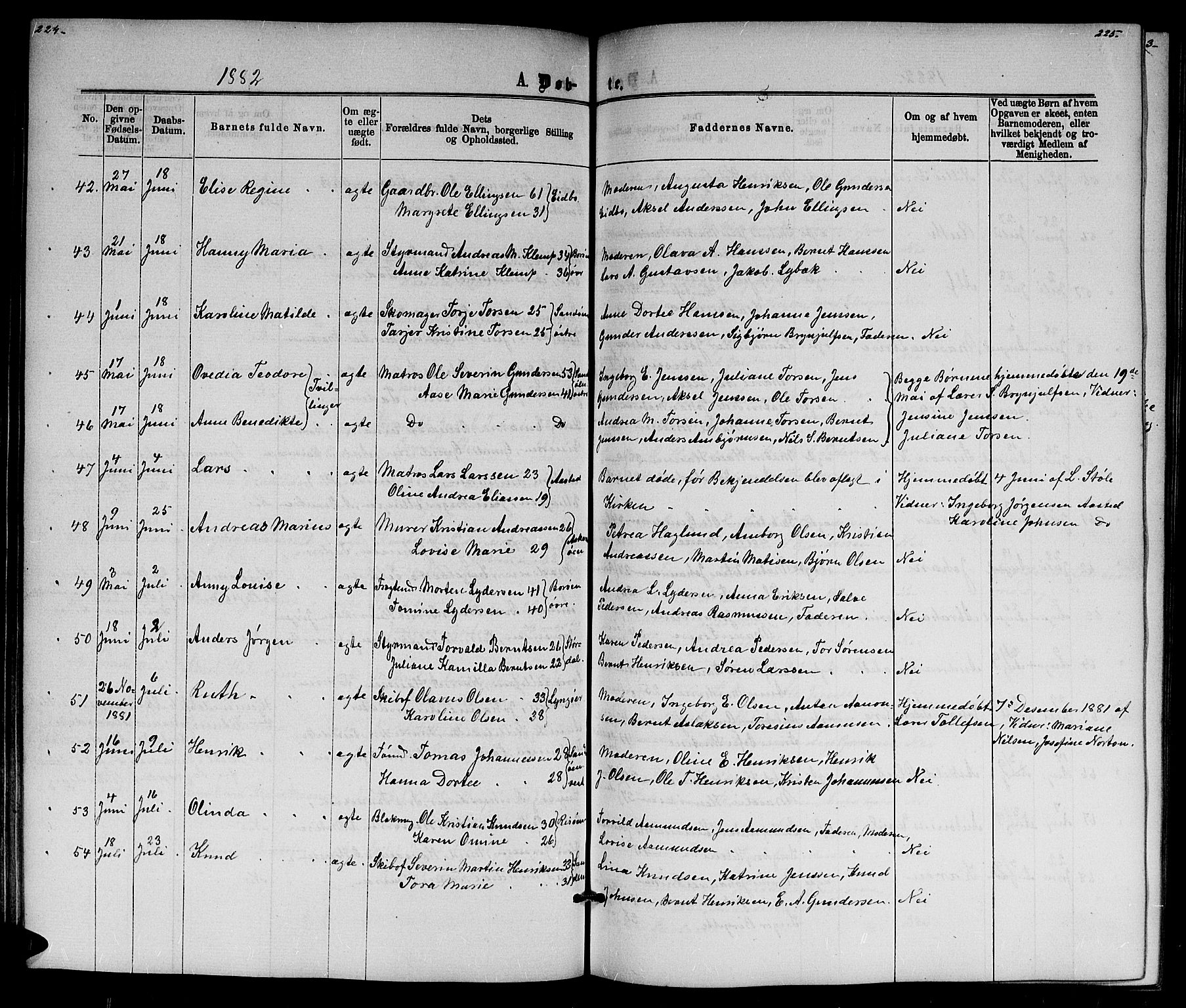 Dypvåg sokneprestkontor, AV/SAK-1111-0007/F/Fb/Fba/L0012: Klokkerbok nr. B 12, 1872-1886, s. 224-225