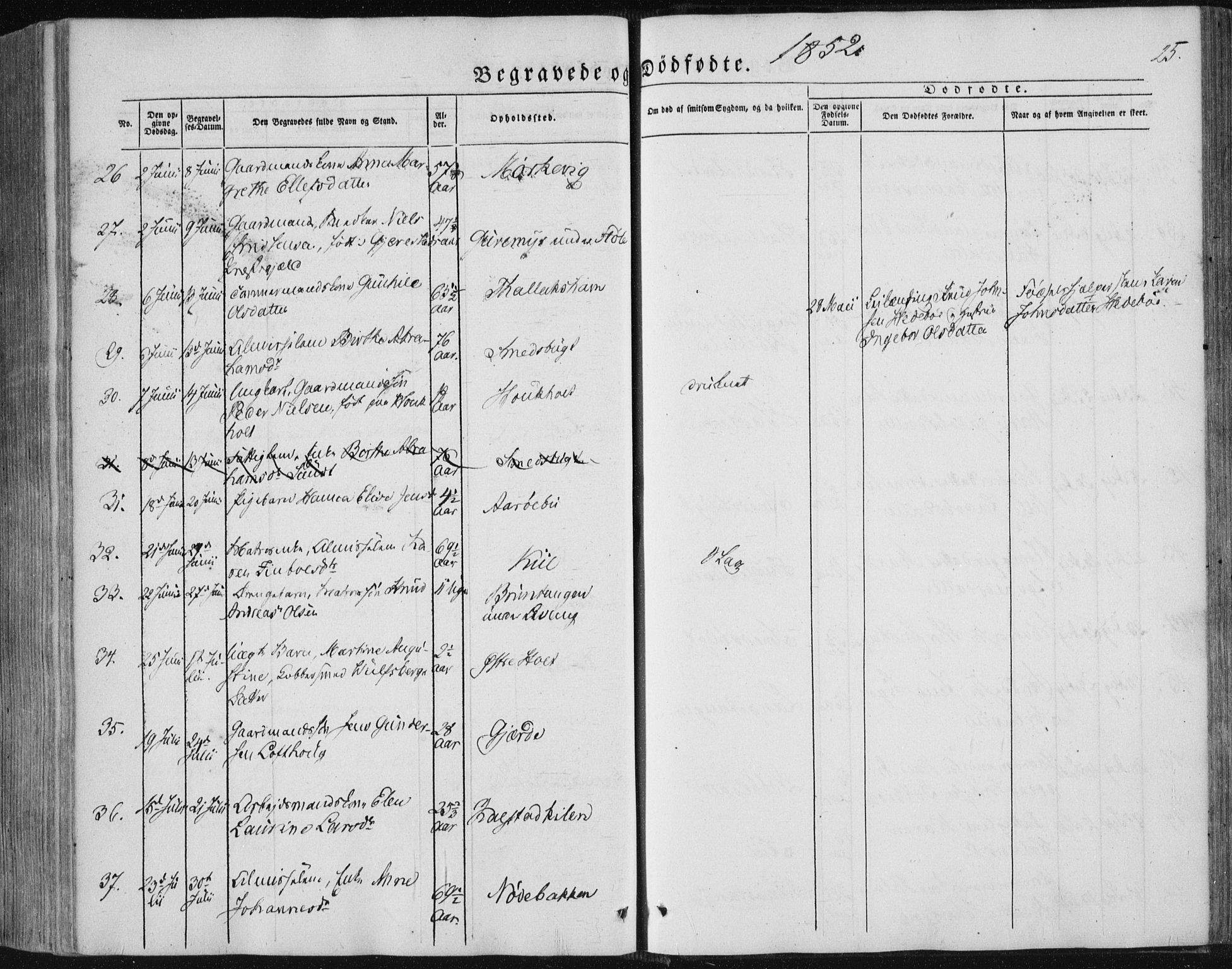 Sannidal kirkebøker, AV/SAKO-A-296/F/Fa/L0008: Ministerialbok nr. 8, 1847-1862, s. 25