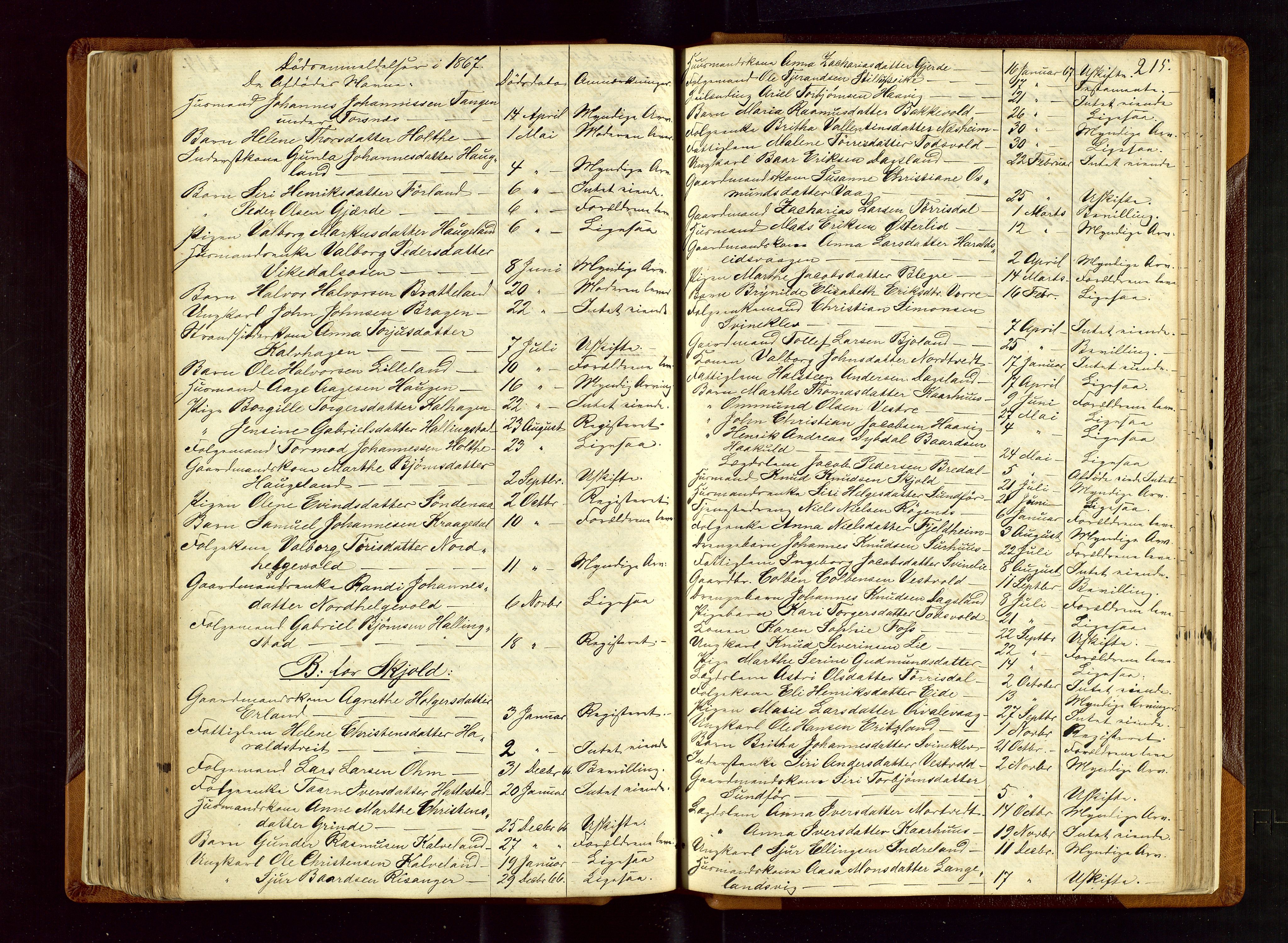 Ryfylke tingrett, AV/SAST-A-100055/001/IV/IVF/L0002: Skifteforhandlingsprotokoll A 2, 1861-1874, s. 215