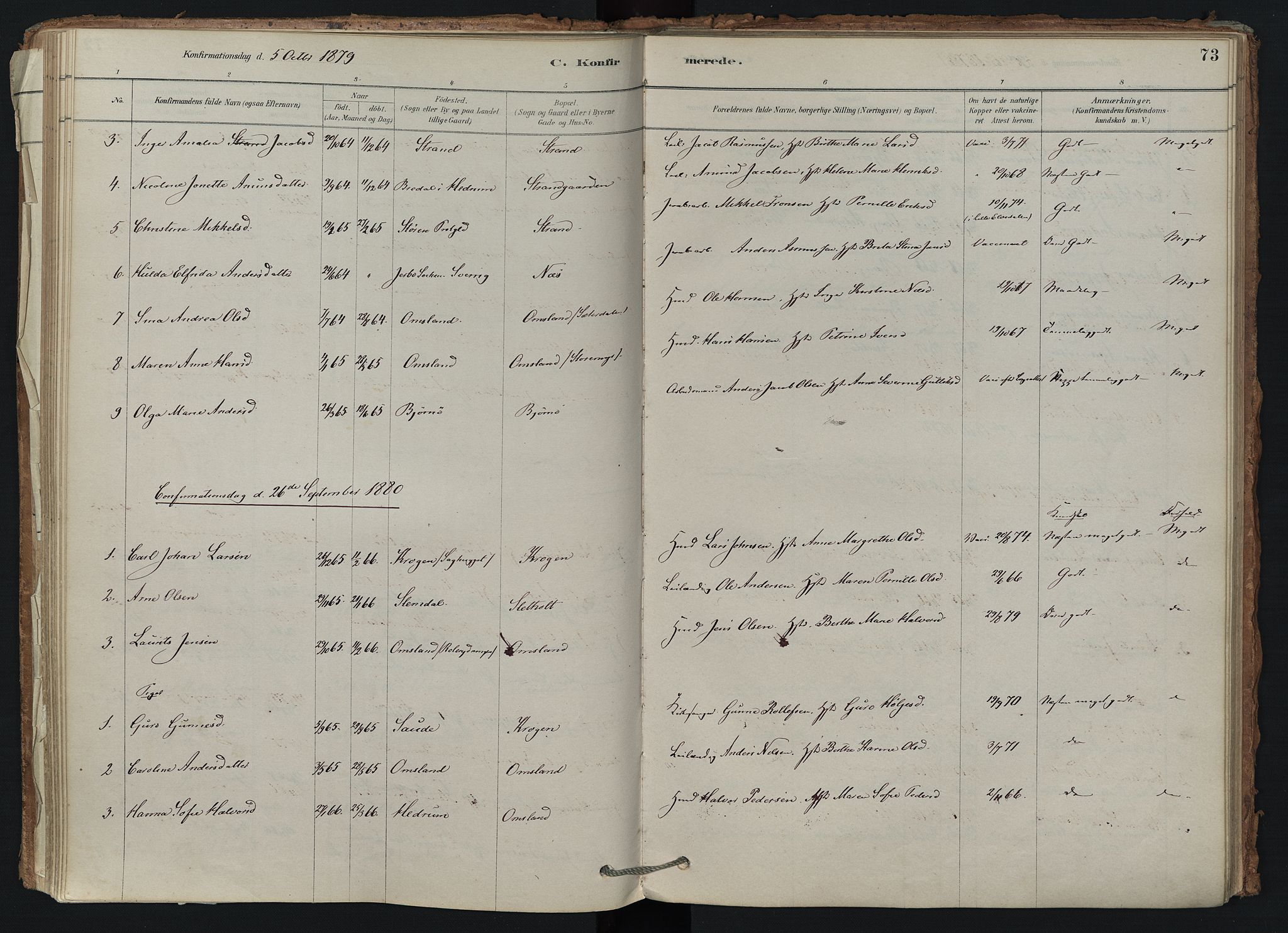Brunlanes kirkebøker, AV/SAKO-A-342/F/Fd/L0001: Ministerialbok nr. IV 1, 1878-1917, s. 73