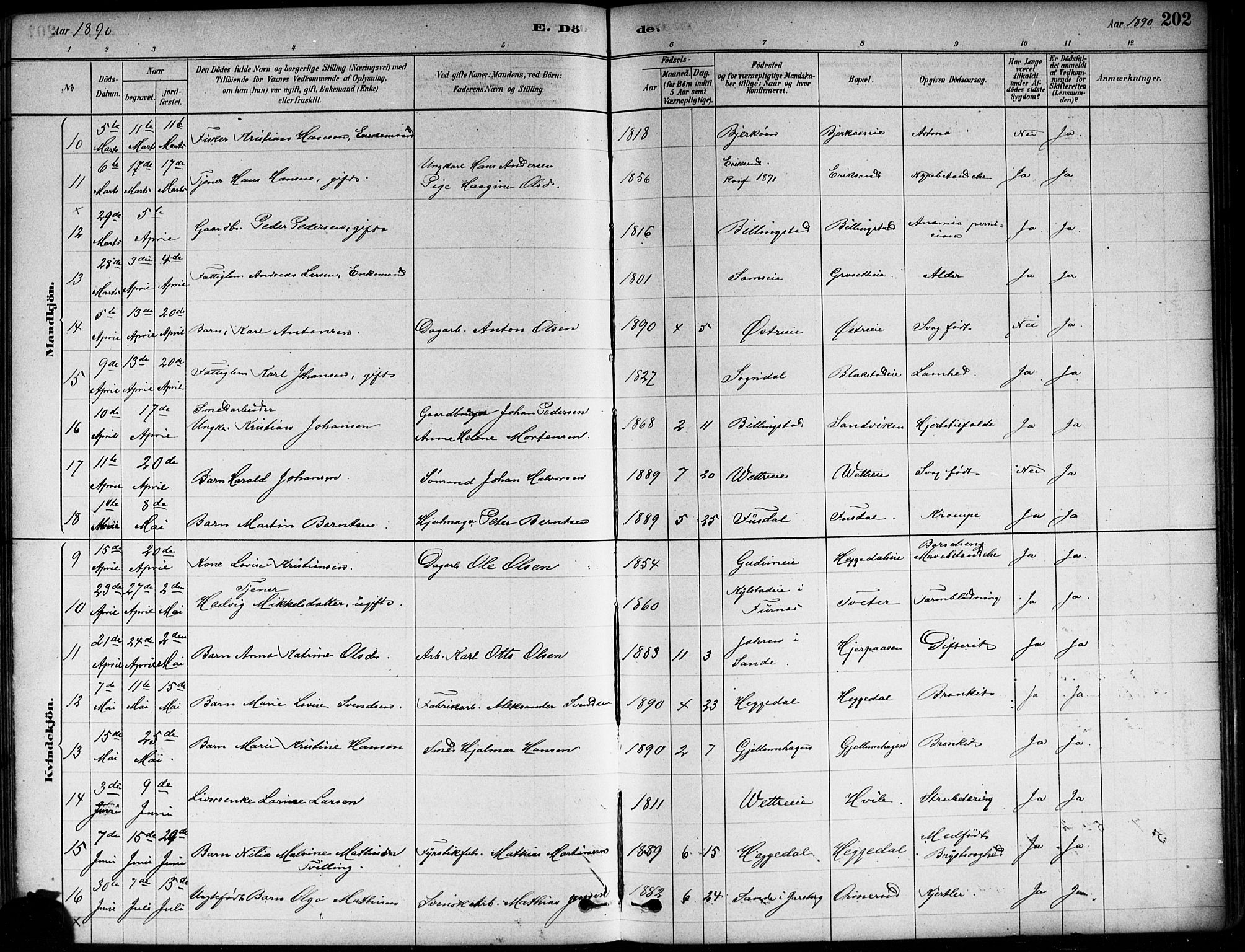 Asker prestekontor Kirkebøker, AV/SAO-A-10256a/F/Fa/L0013: Ministerialbok nr. I 13, 1879-1896, s. 202