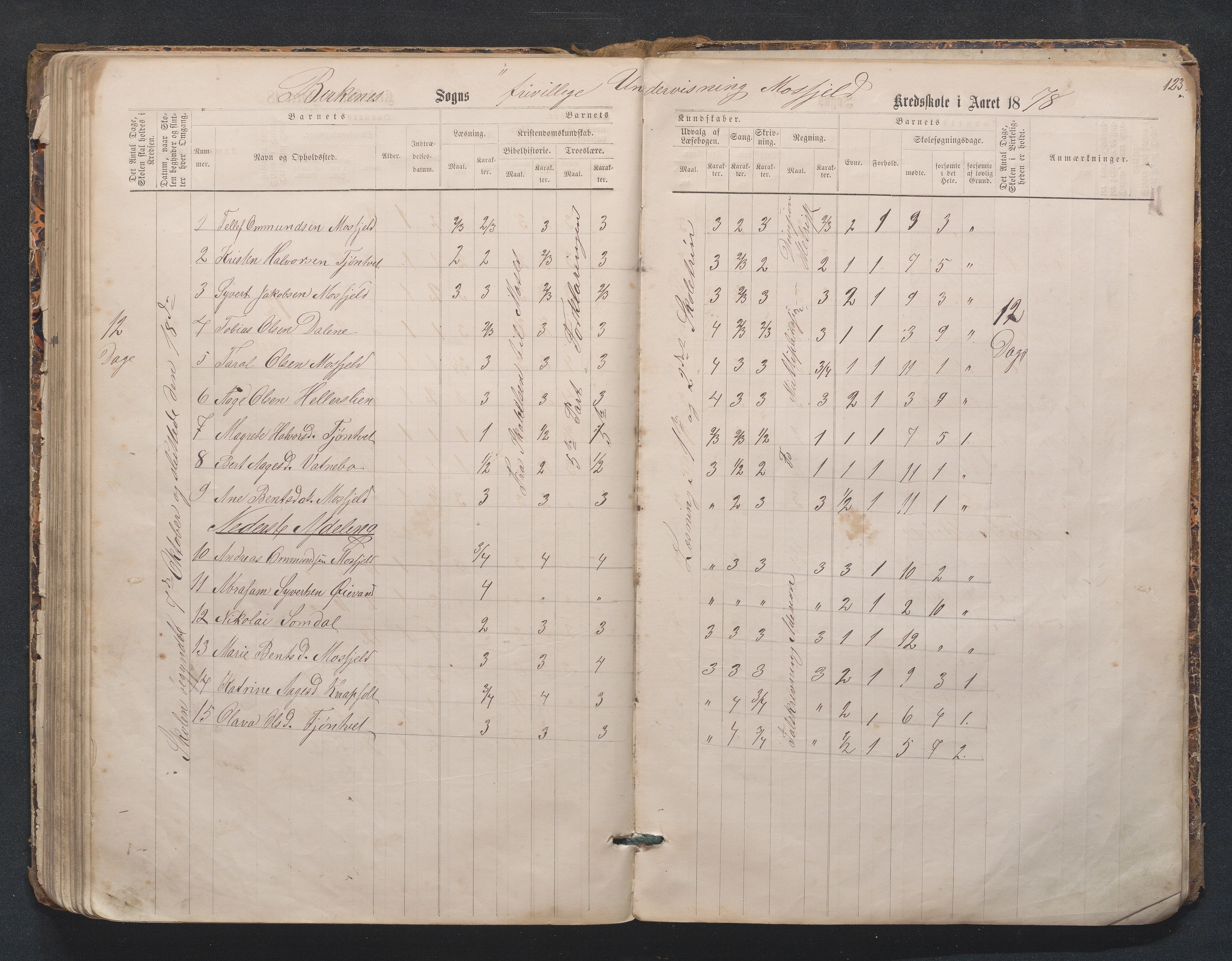 Birkenes kommune, Mosfjell skolekrets, AAKS/KA0928-550f_91/F02/L0001: Skoleprotokoll Flå og Mosfjell, 1867-1909, s. 123