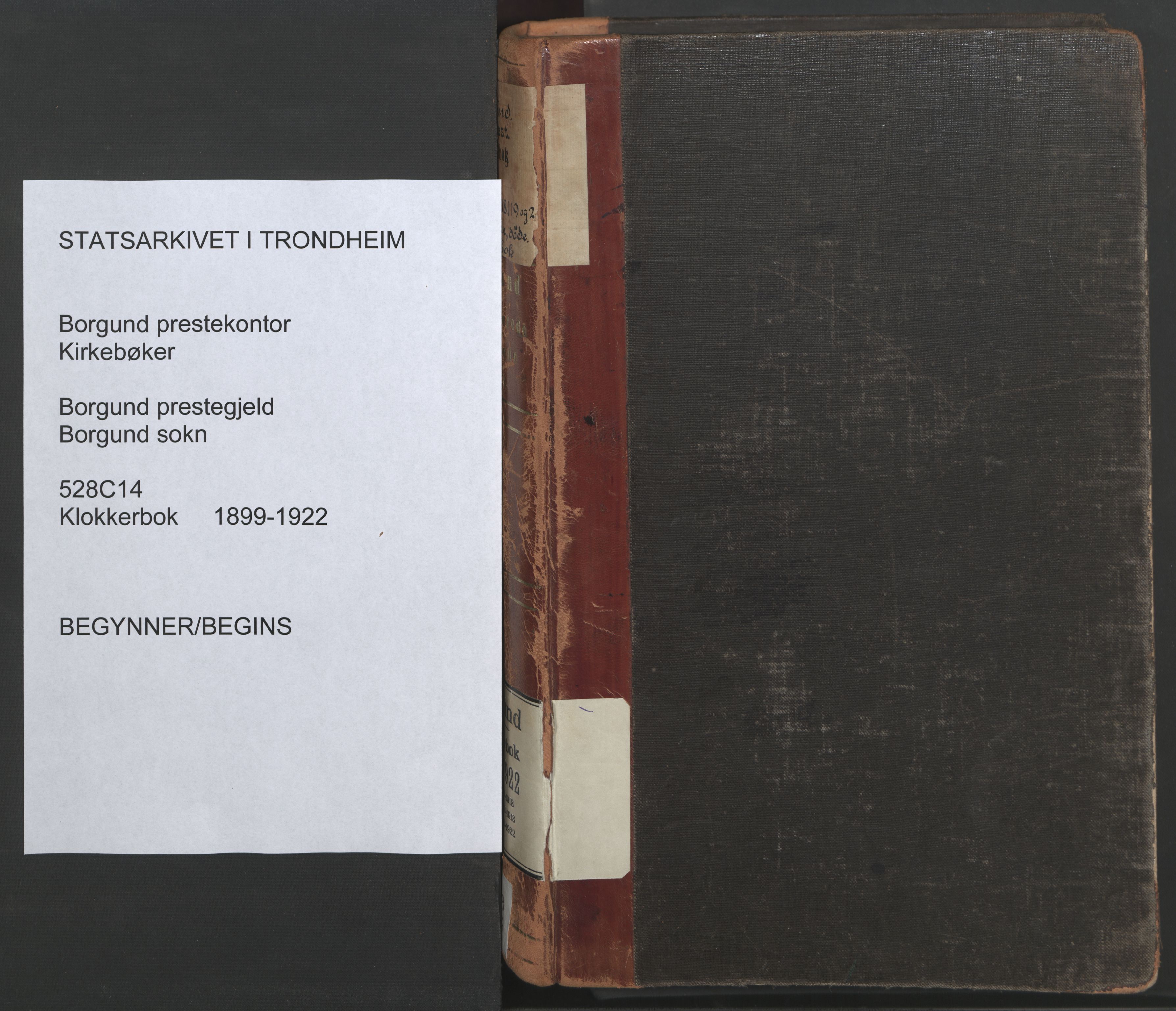 Ministerialprotokoller, klokkerbøker og fødselsregistre - Møre og Romsdal, AV/SAT-A-1454/528/L0433: Klokkerbok nr. 528C14, 1899-1922