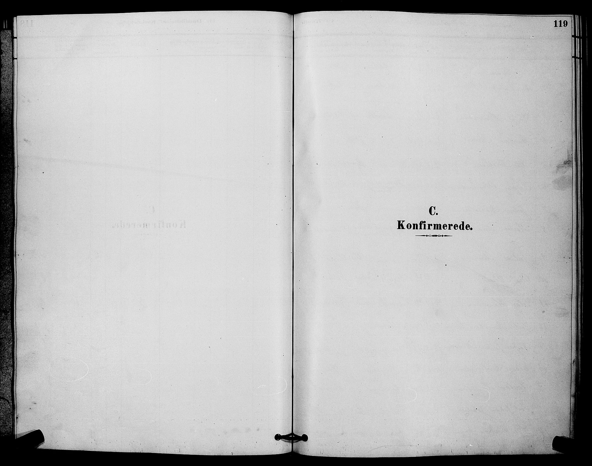 Fet prestekontor Kirkebøker, SAO/A-10370a/G/Ga/L0006: Klokkerbok nr. I 6, 1878-1891, s. 119