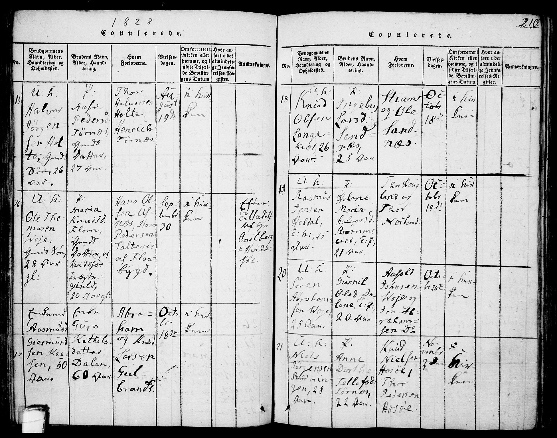 Drangedal kirkebøker, AV/SAKO-A-258/F/Fa/L0005: Ministerialbok nr. 5 /1, 1814-1831, s. 210
