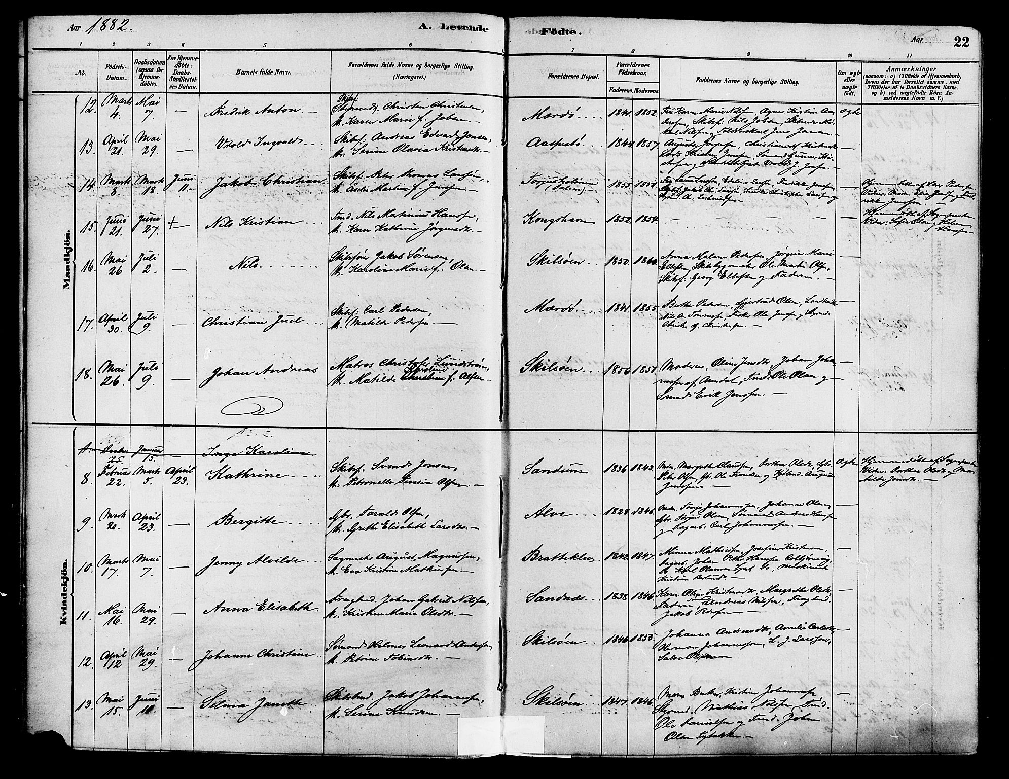 Tromøy sokneprestkontor, AV/SAK-1111-0041/F/Fa/L0009: Ministerialbok nr. A 9, 1878-1896, s. 22