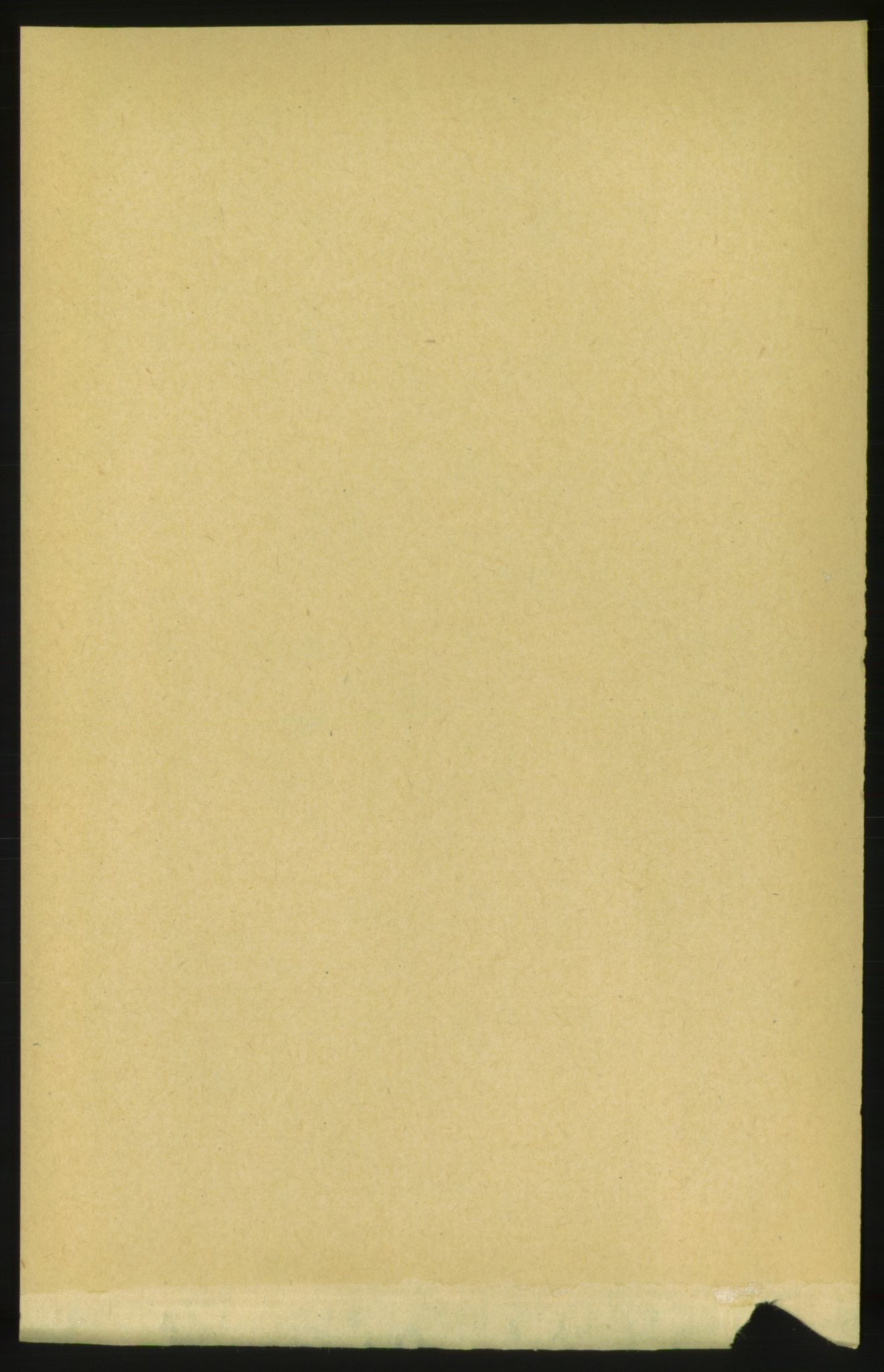 RA, Folketelling 1891 for 1545 Aukra herred, 1891, s. 1302