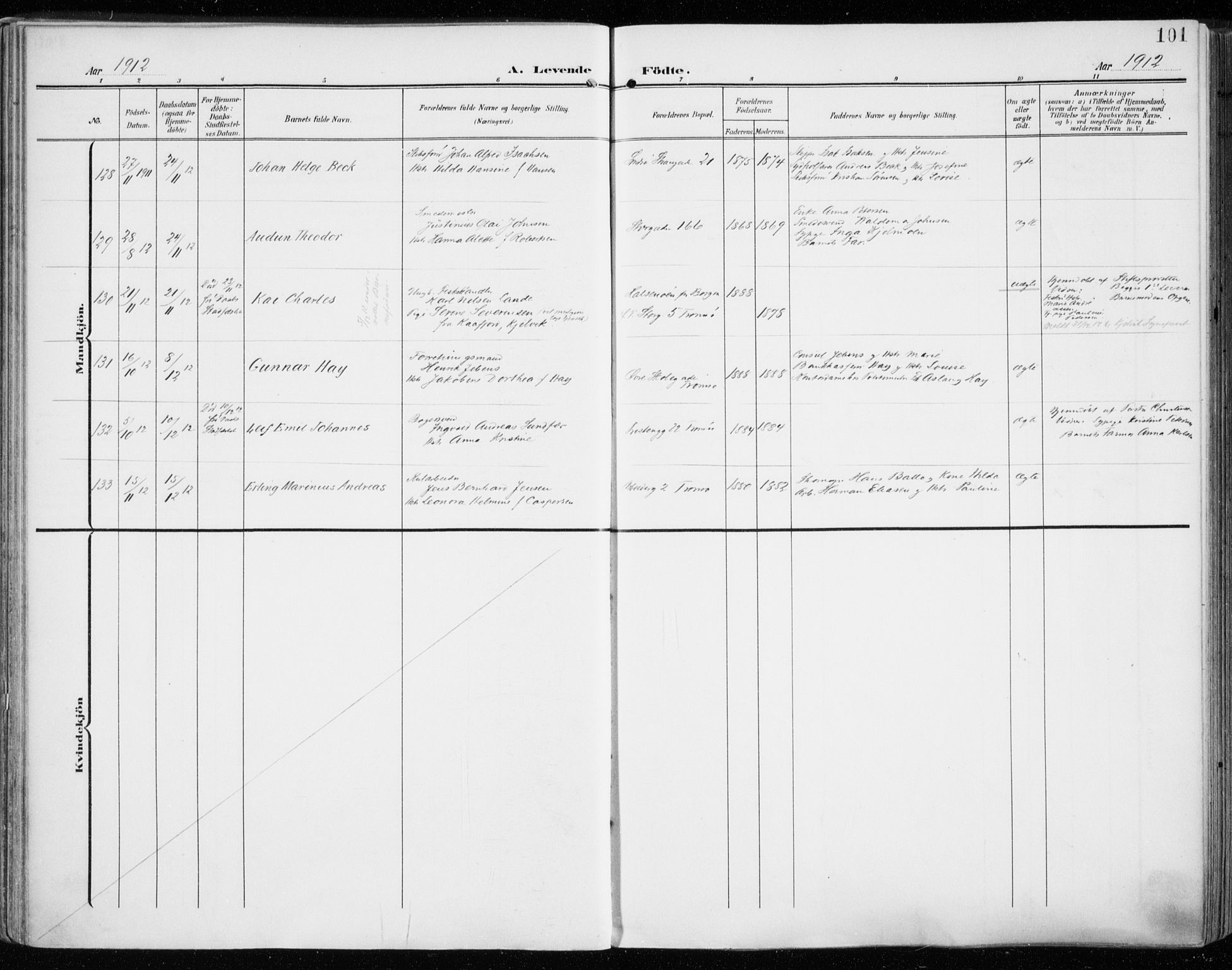Tromsø sokneprestkontor/stiftsprosti/domprosti, AV/SATØ-S-1343/G/Ga/L0017kirke: Ministerialbok nr. 17, 1907-1917, s. 101